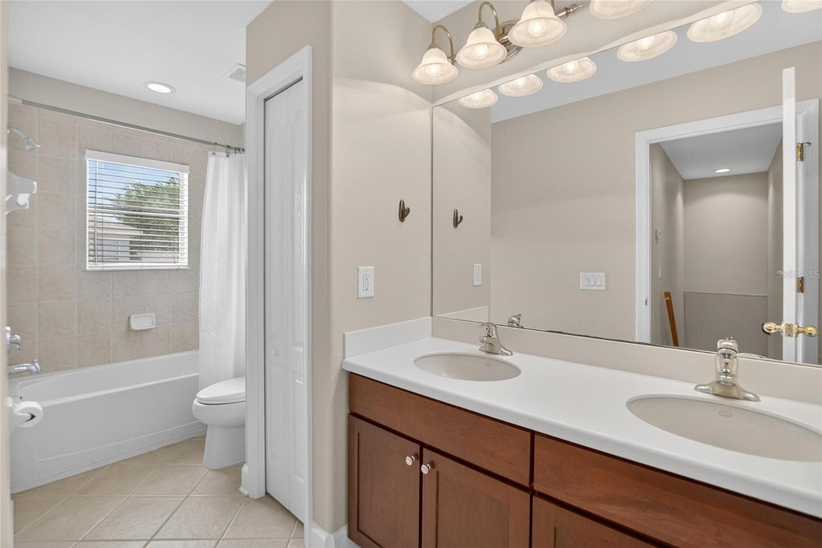 Hall Bathroom Upstairs - 21040 GREEN WING CT, LAND O LAKES