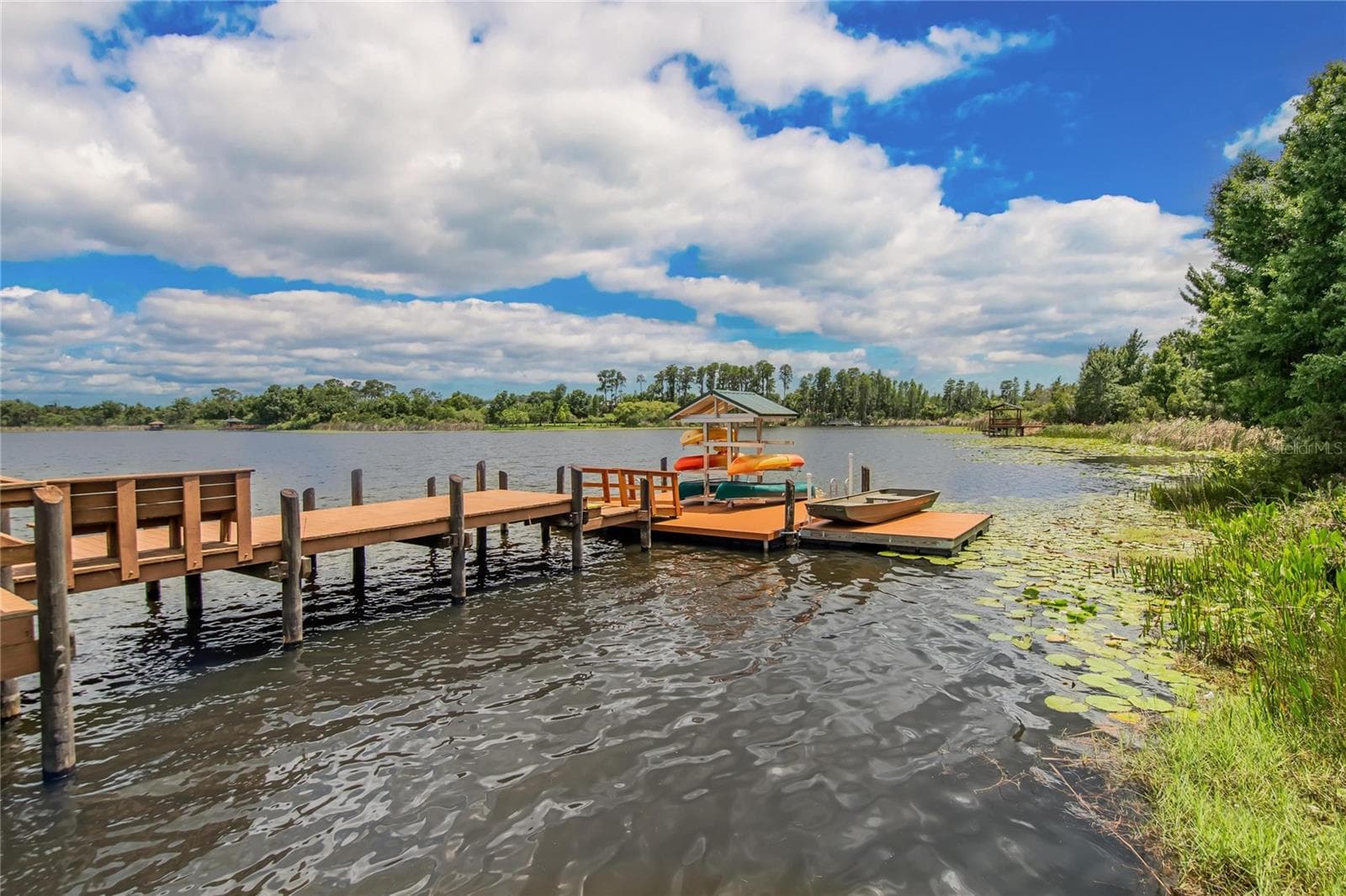Free to borrow and enjoy - 21040 GREEN WING CT, LAND O LAKES