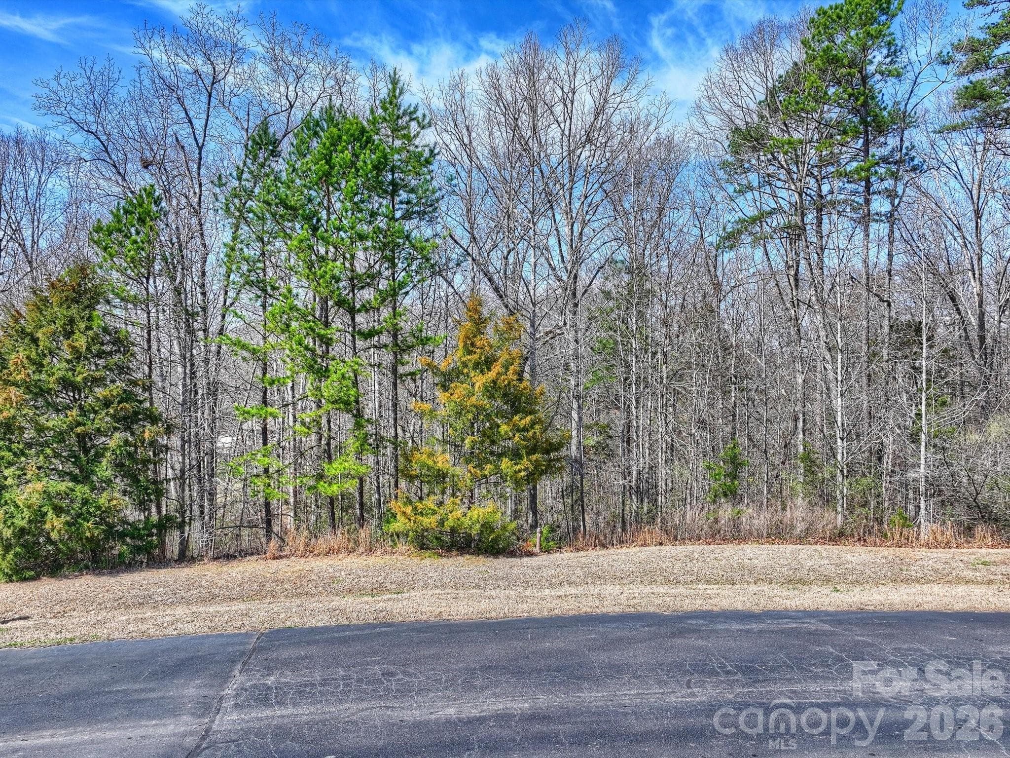 Homesite #14 - .82 acre wooded, private basement lot - Fort Mill