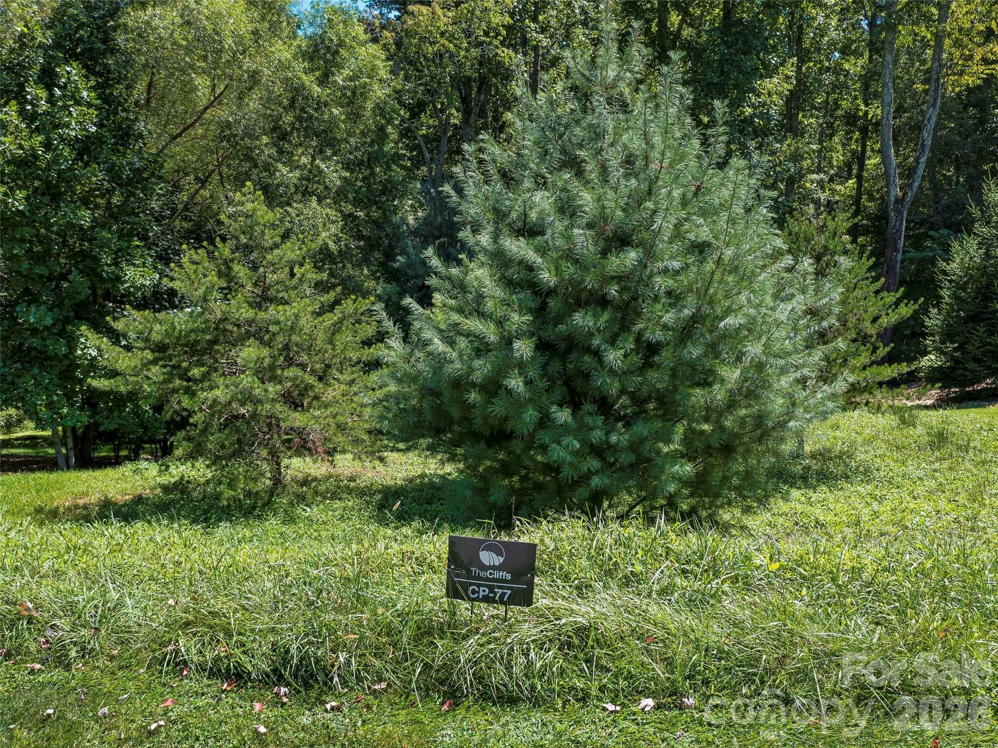 Lot at Arden, photo 2 of 28