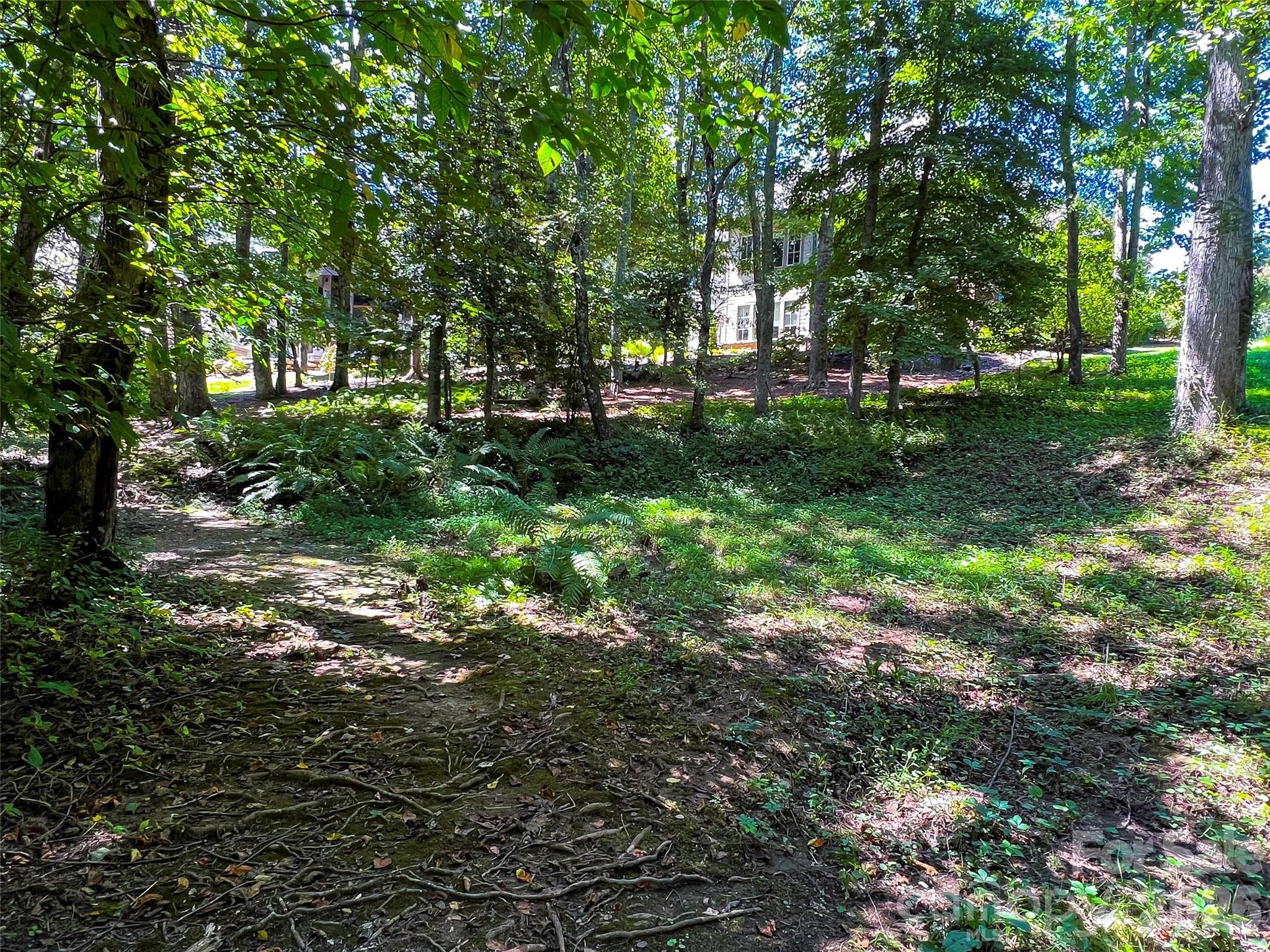 Lot at Arden, photo 15 of 28