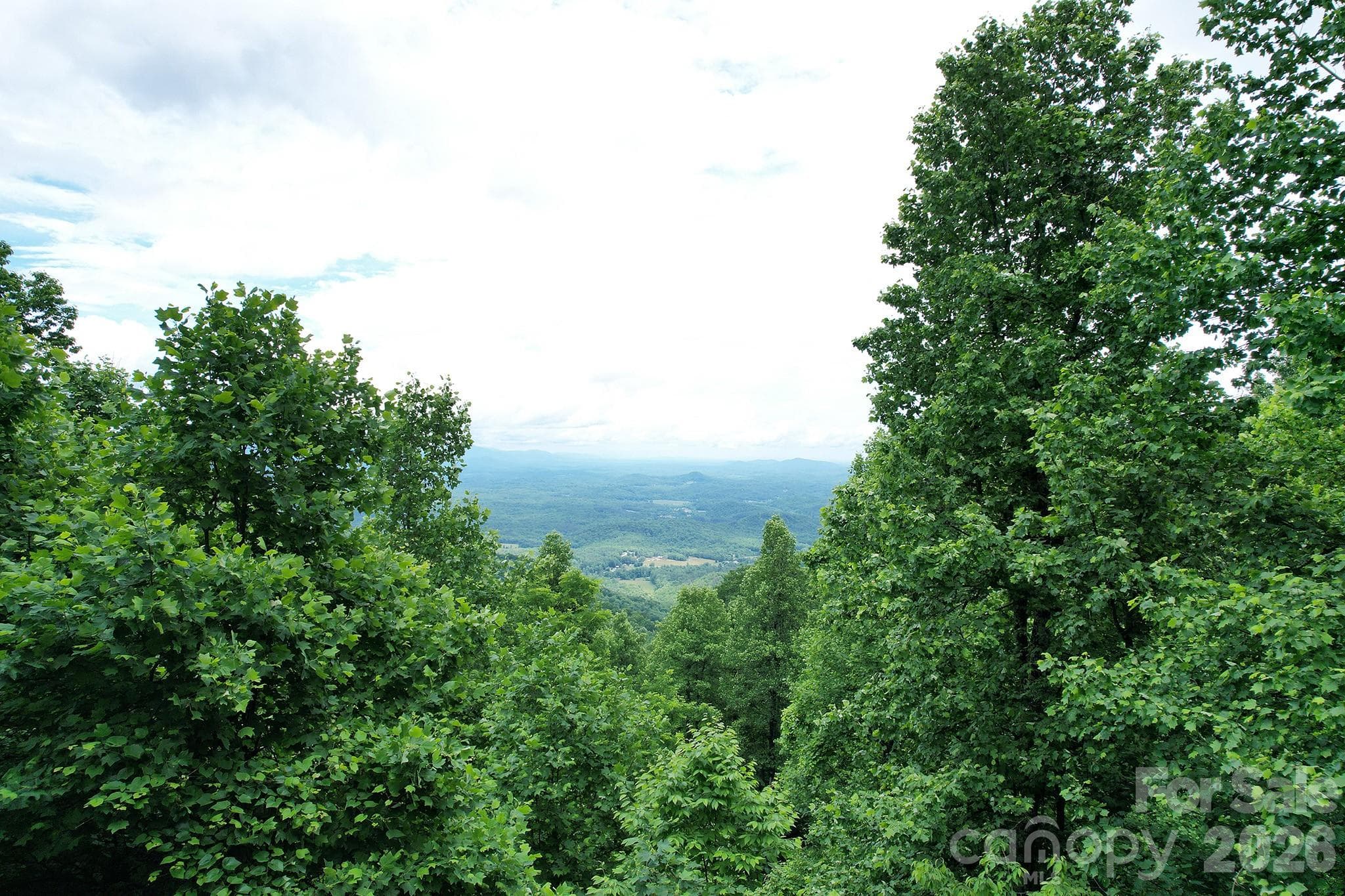 Peeking through the trees on a cloudy day - Black Mountain