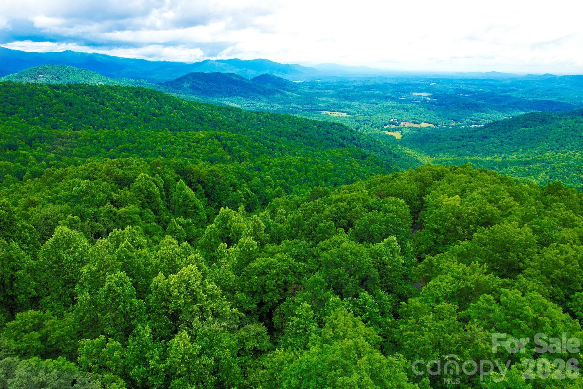 Incredible long range view - Black Mountain