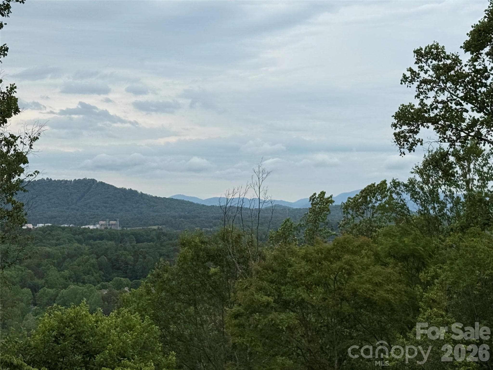 Lot at 16 Ridge Pine Trail, Arden, photo 6 of 15