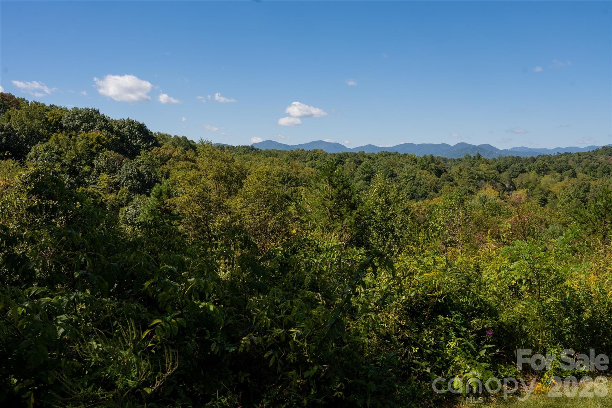 Beautiful setting tucked among the trees - Asheville