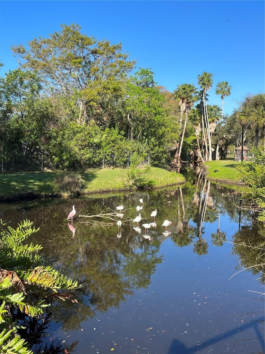 IBIS PARK ONLY 3 BLOCKS AWAY. - 5605 SHORE BLVD S #1B, GULFPORT