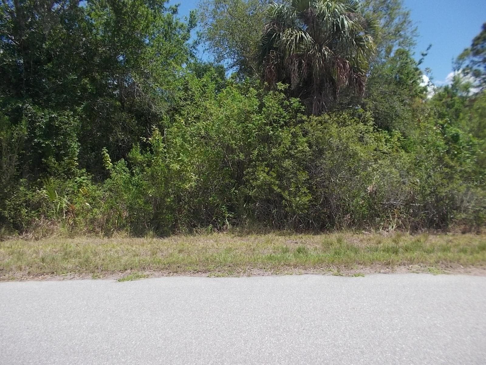 Looking across Dorn Ter from the Lot - 15038 DORN TER, PORT CHARLOTTE