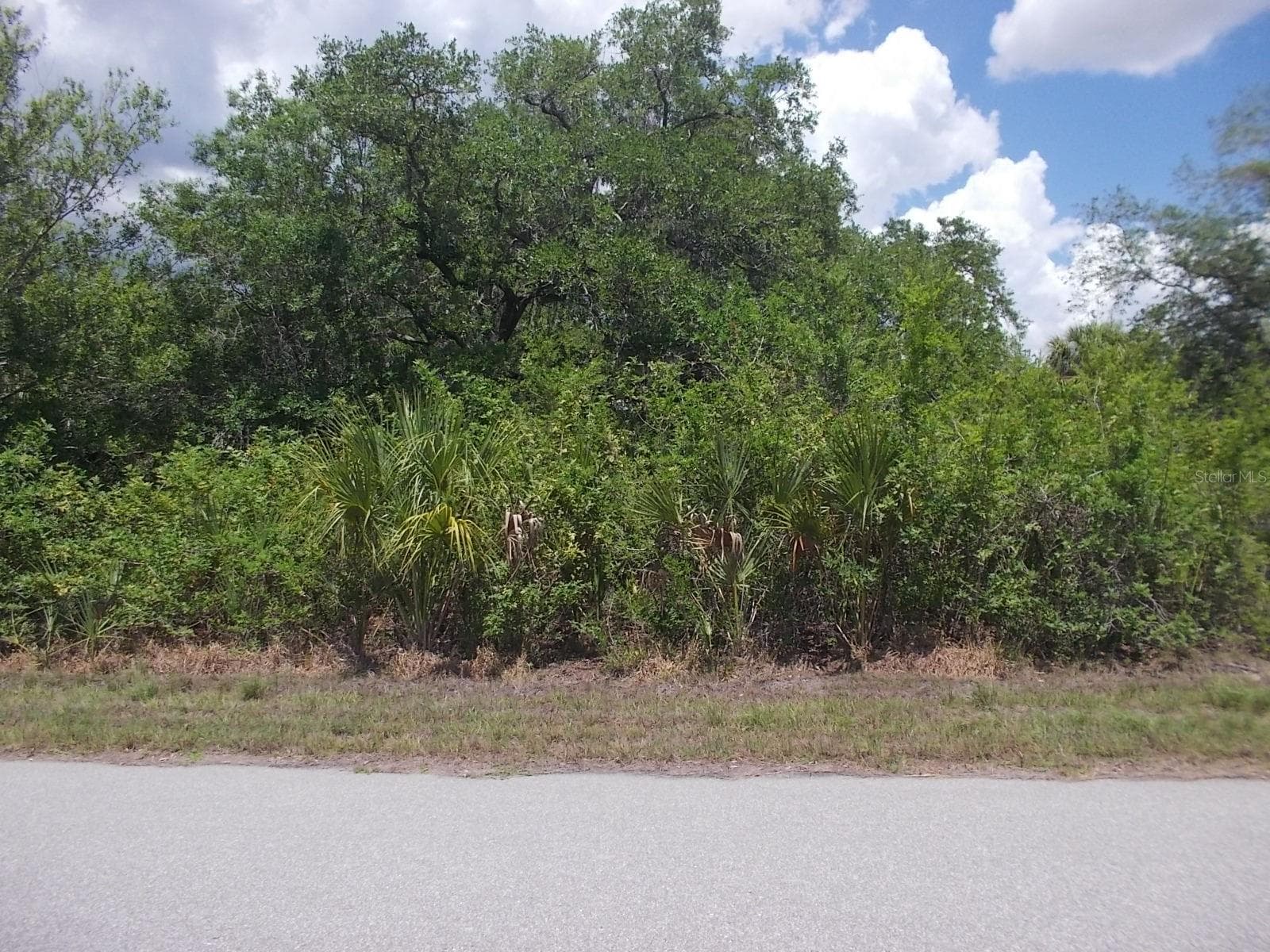 Looking at the Lot from Travis St - 15038 DORN TER, PORT CHARLOTTE