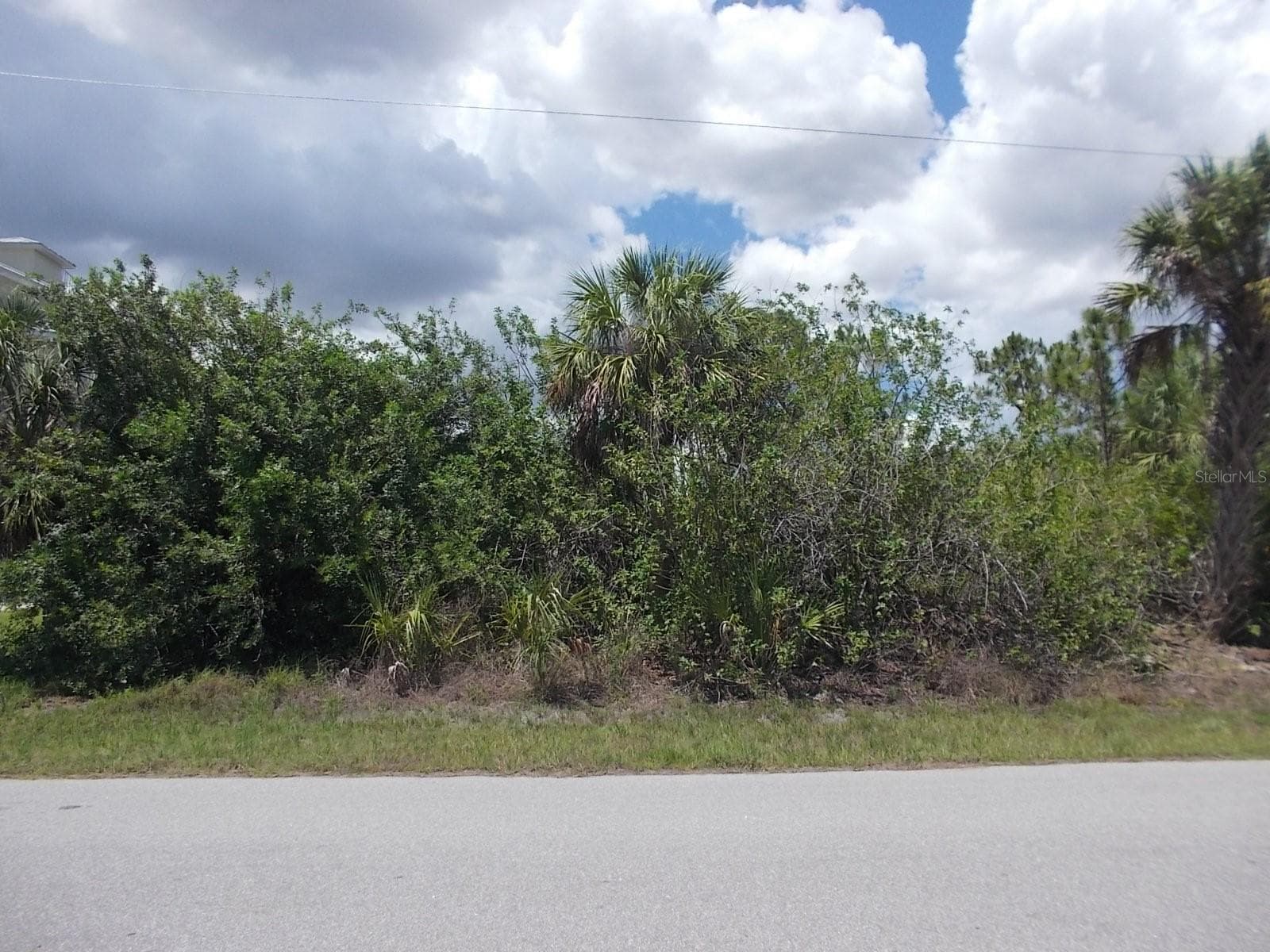Looking at Lot from the street - 14232 ROTHSCHILD AVE, PORT CHARLOTTE