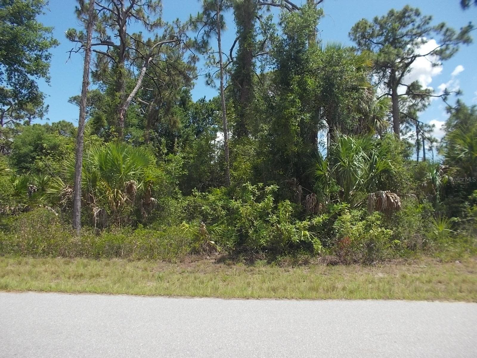 Looking across the street from the lot - 14232 ROTHSCHILD AVE, PORT CHARLOTTE