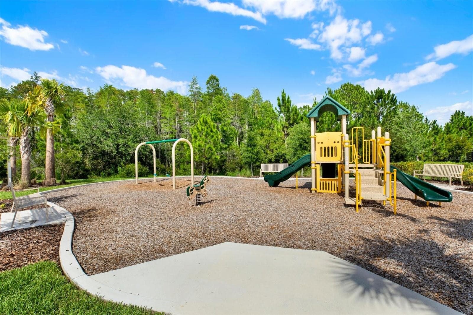 Playground - 32332 ROSEPINE BLVD, WESLEY CHAPEL
