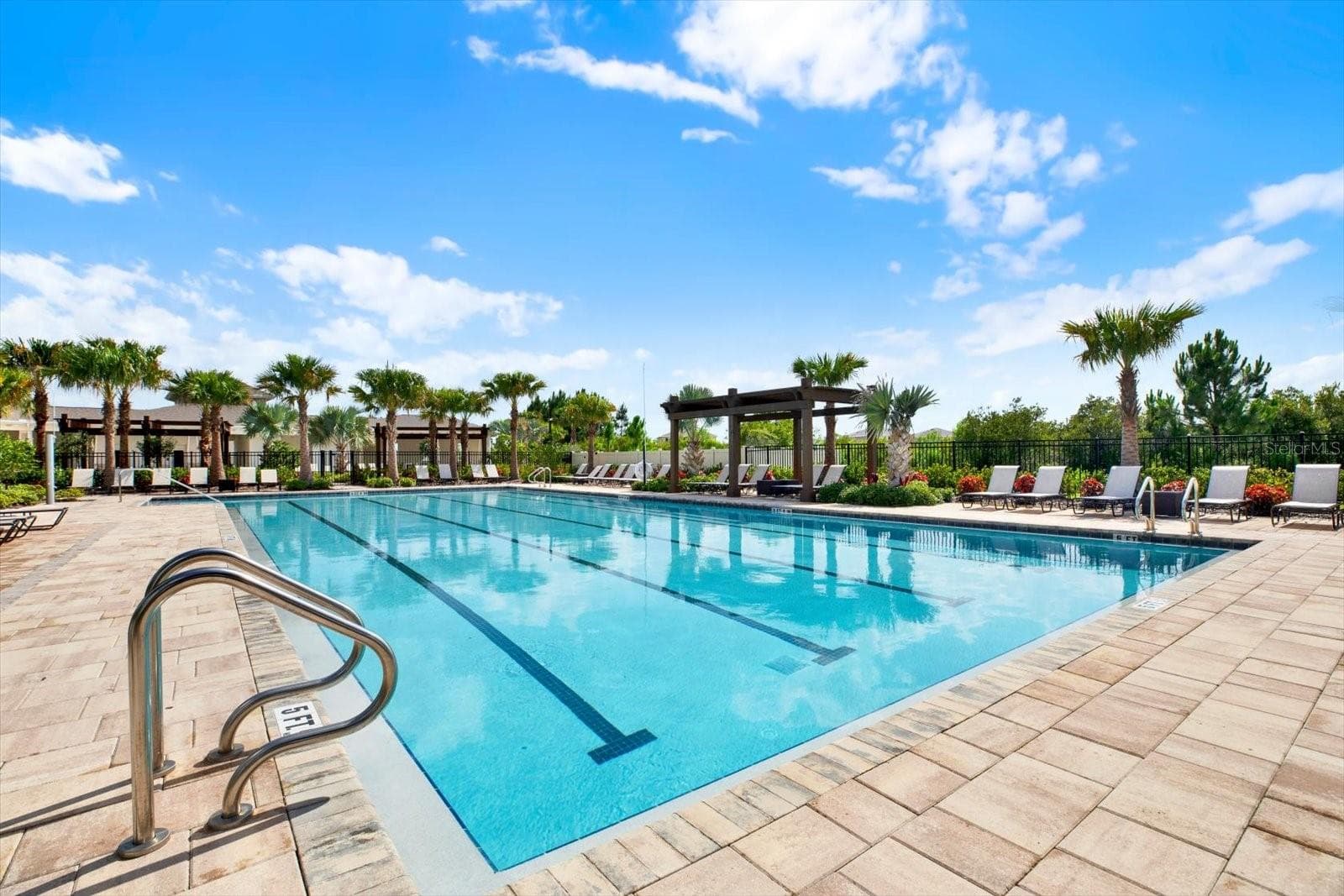 Community lap pool - 32332 ROSEPINE BLVD, WESLEY CHAPEL