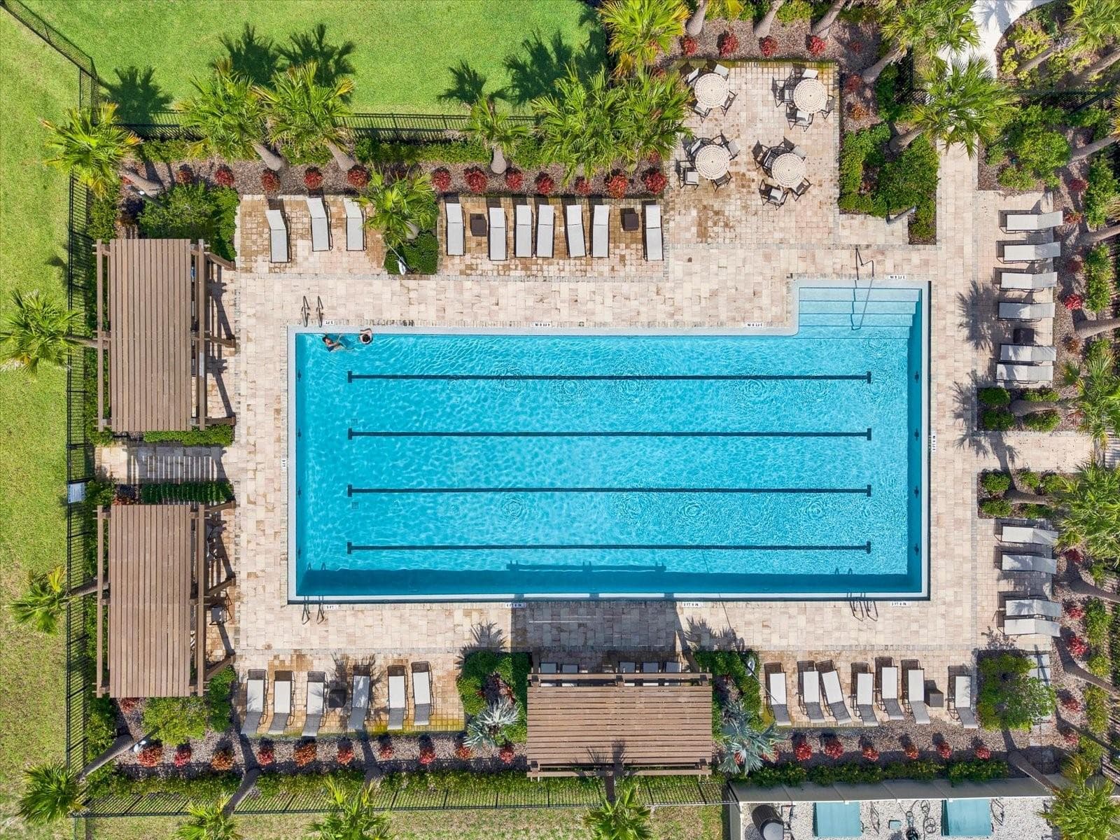 Community lap pool - 32332 ROSEPINE BLVD, WESLEY CHAPEL