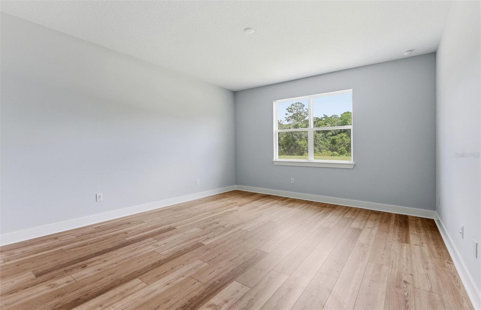 Owner's Suite - 13504 CANYON RIDGE RD, SPRING HILL
