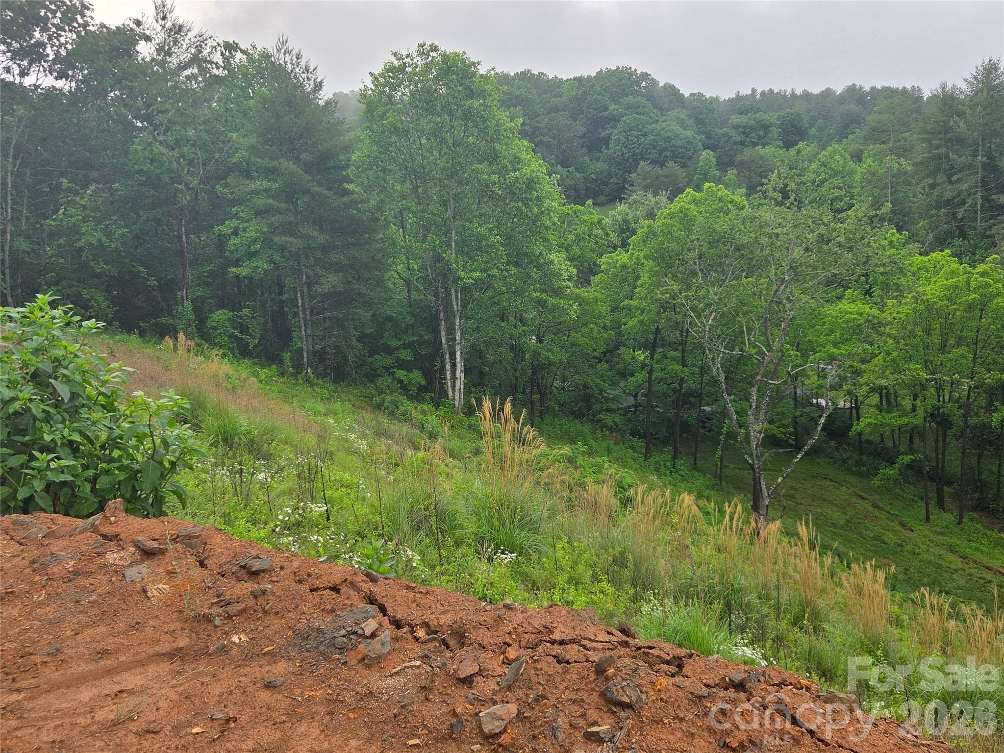 Lot at Mars Hill, photo 2 of 5