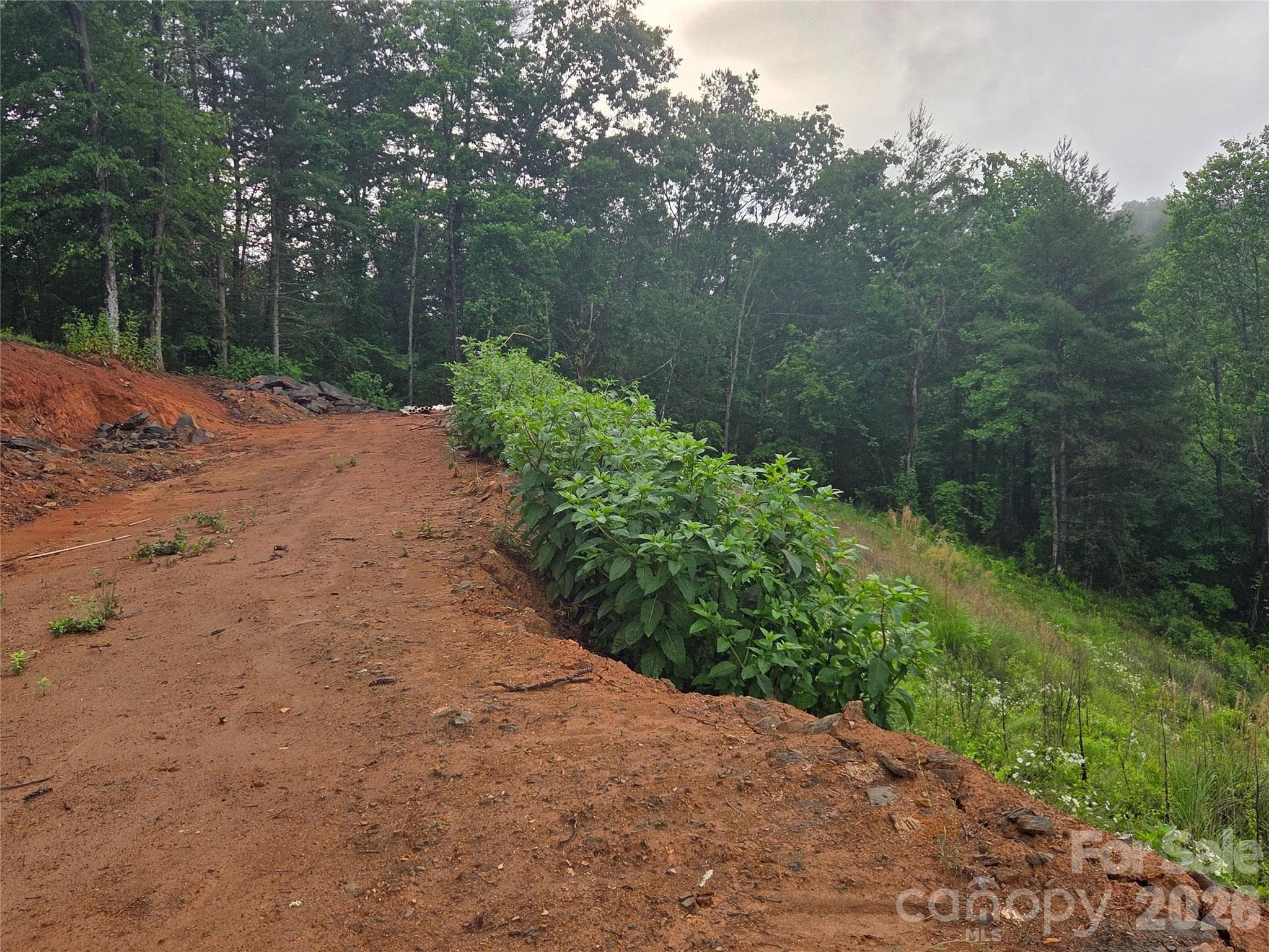 Lot at Mars Hill, photo 3 of 5