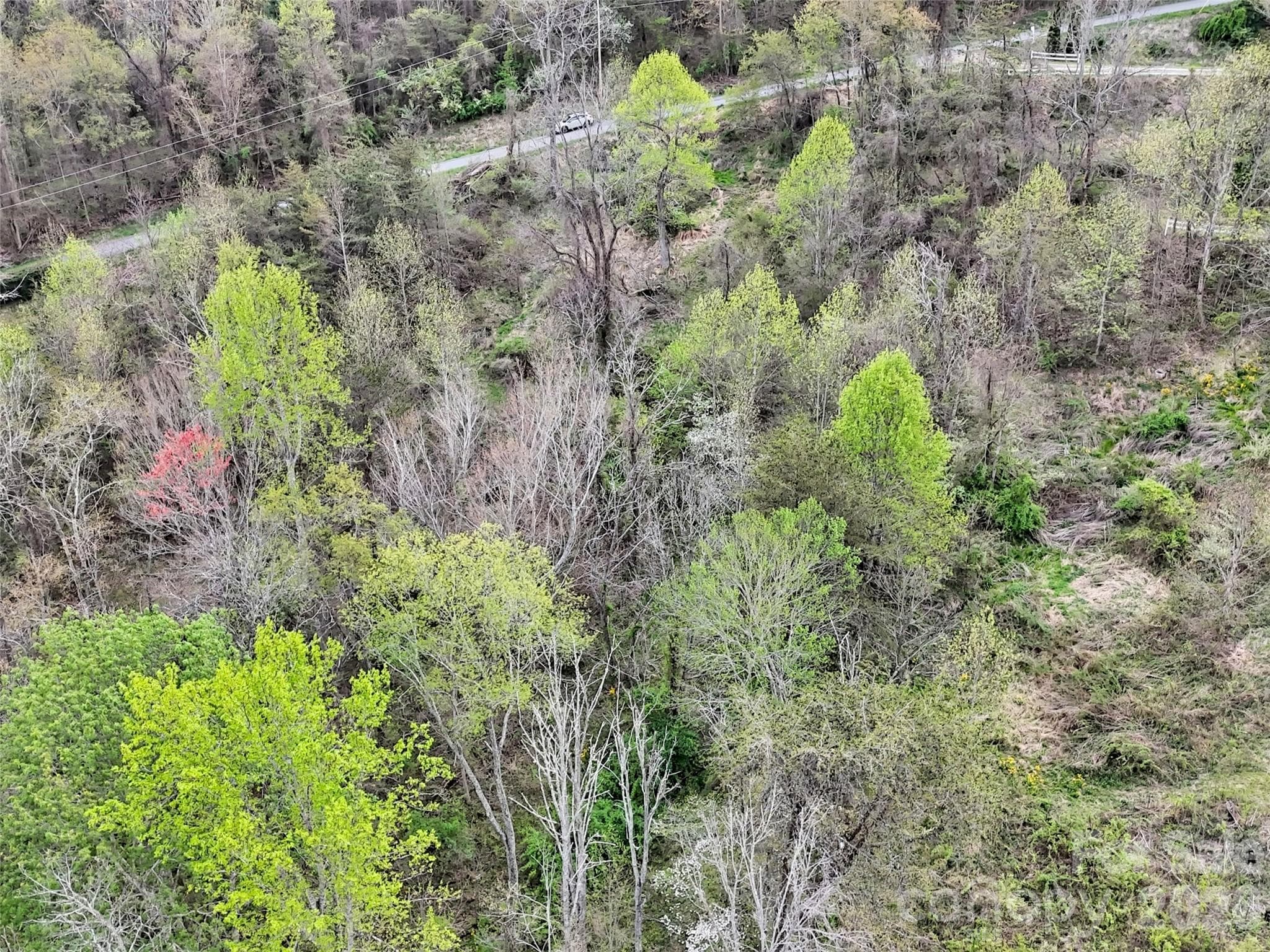 Lot at Waynesville, photo 5 of 9