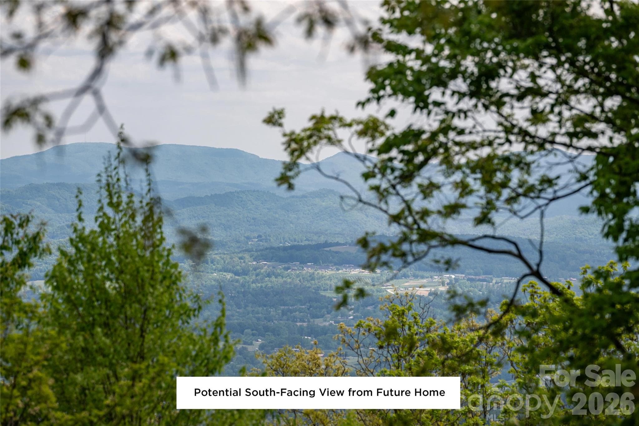 Gorgeous long range mountain view from the Lot, south facing - Hendersonville