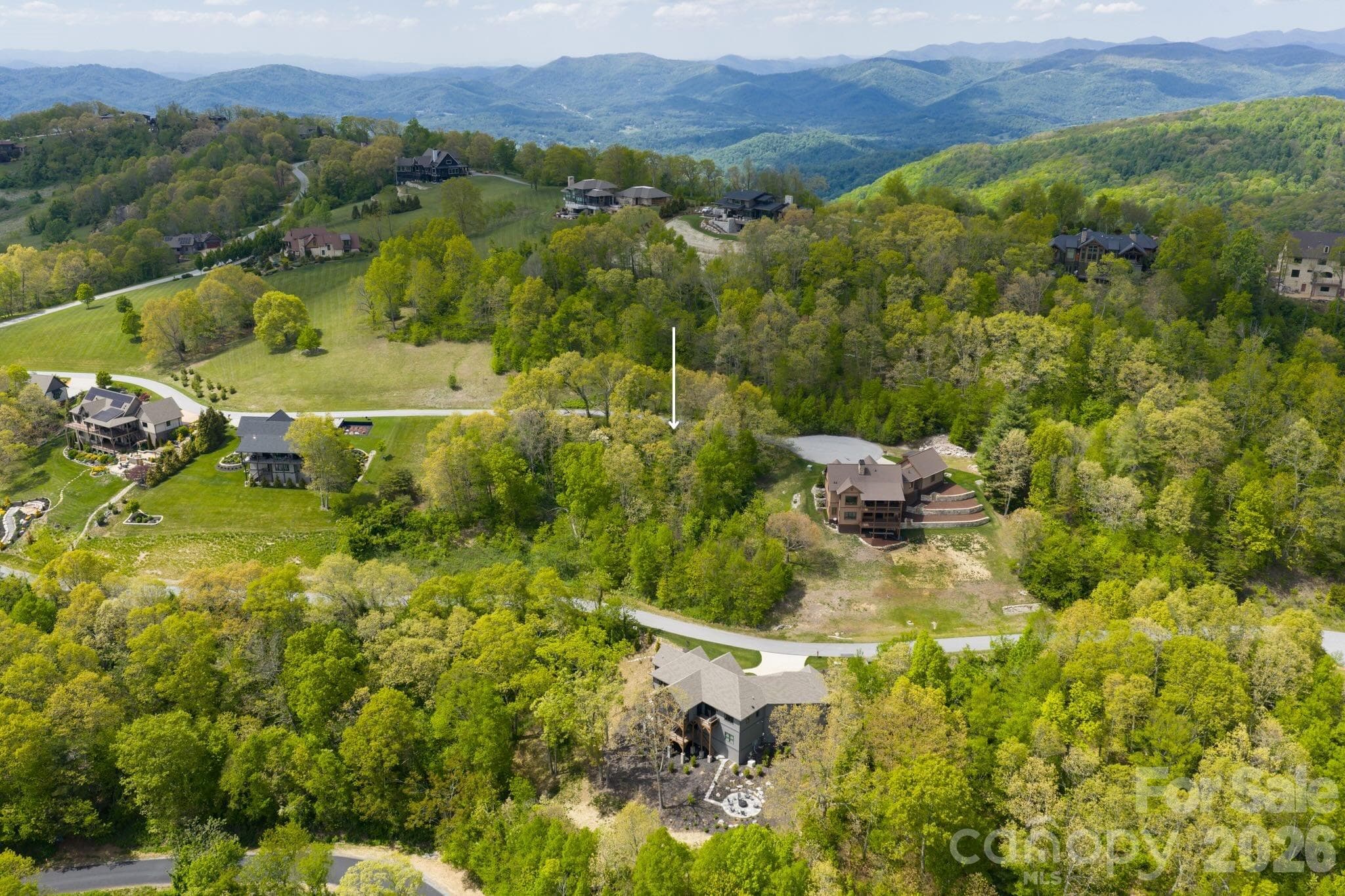 Spring aerial view of the cul-de-sac lot - Hendersonville