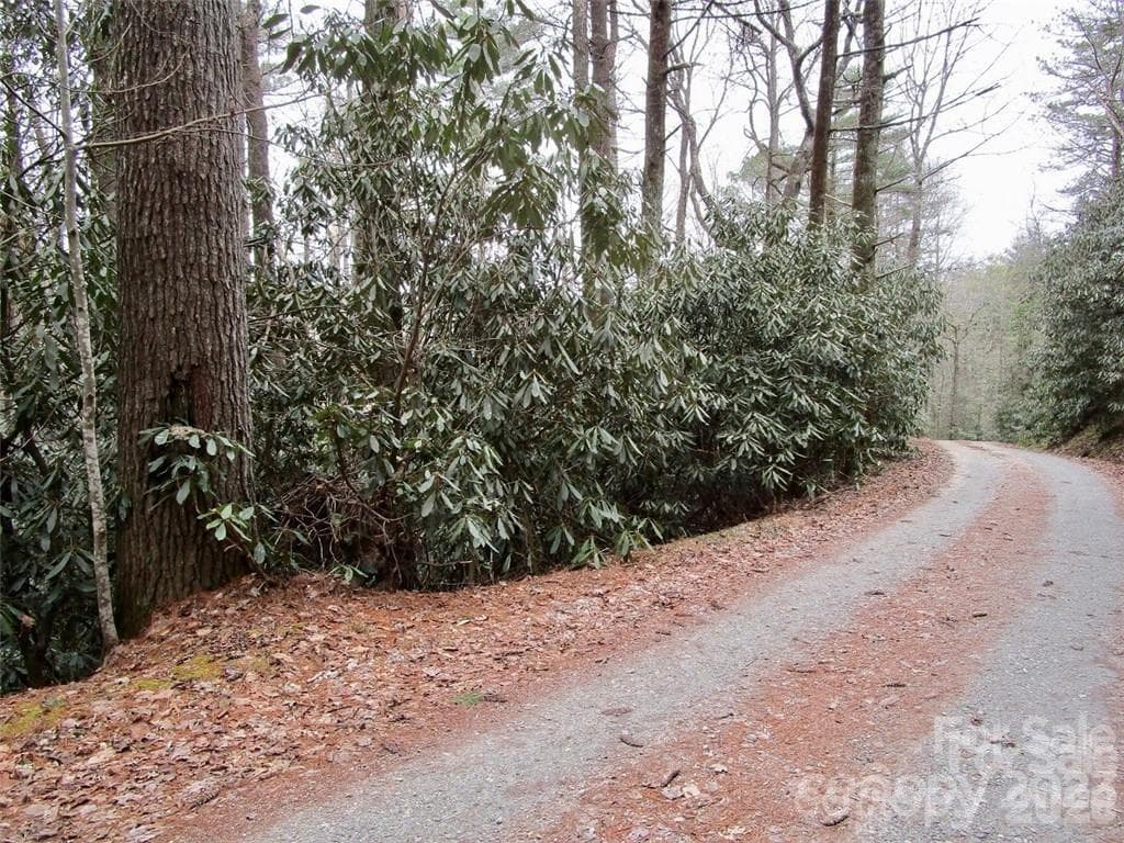Lot #22 Toxaway Falls Drive