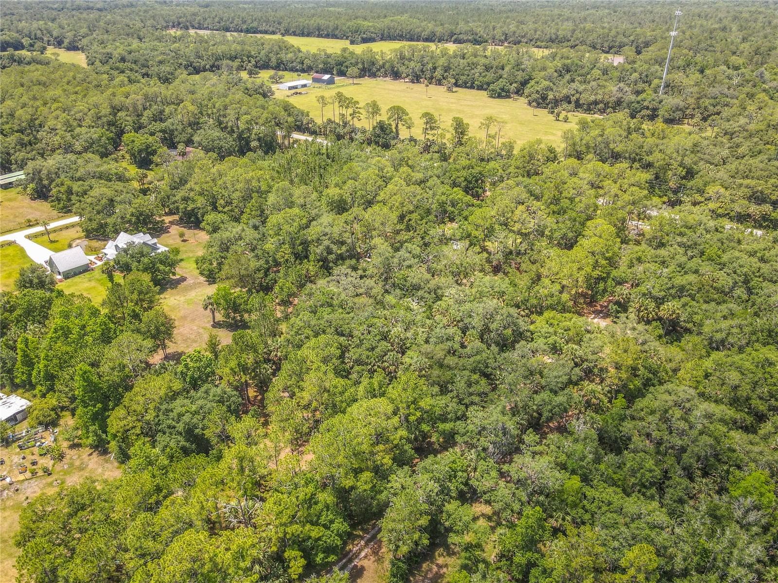 Single Family Residence at 1395 MAYTOWN RD, OSTEEN, photo 62 of 66