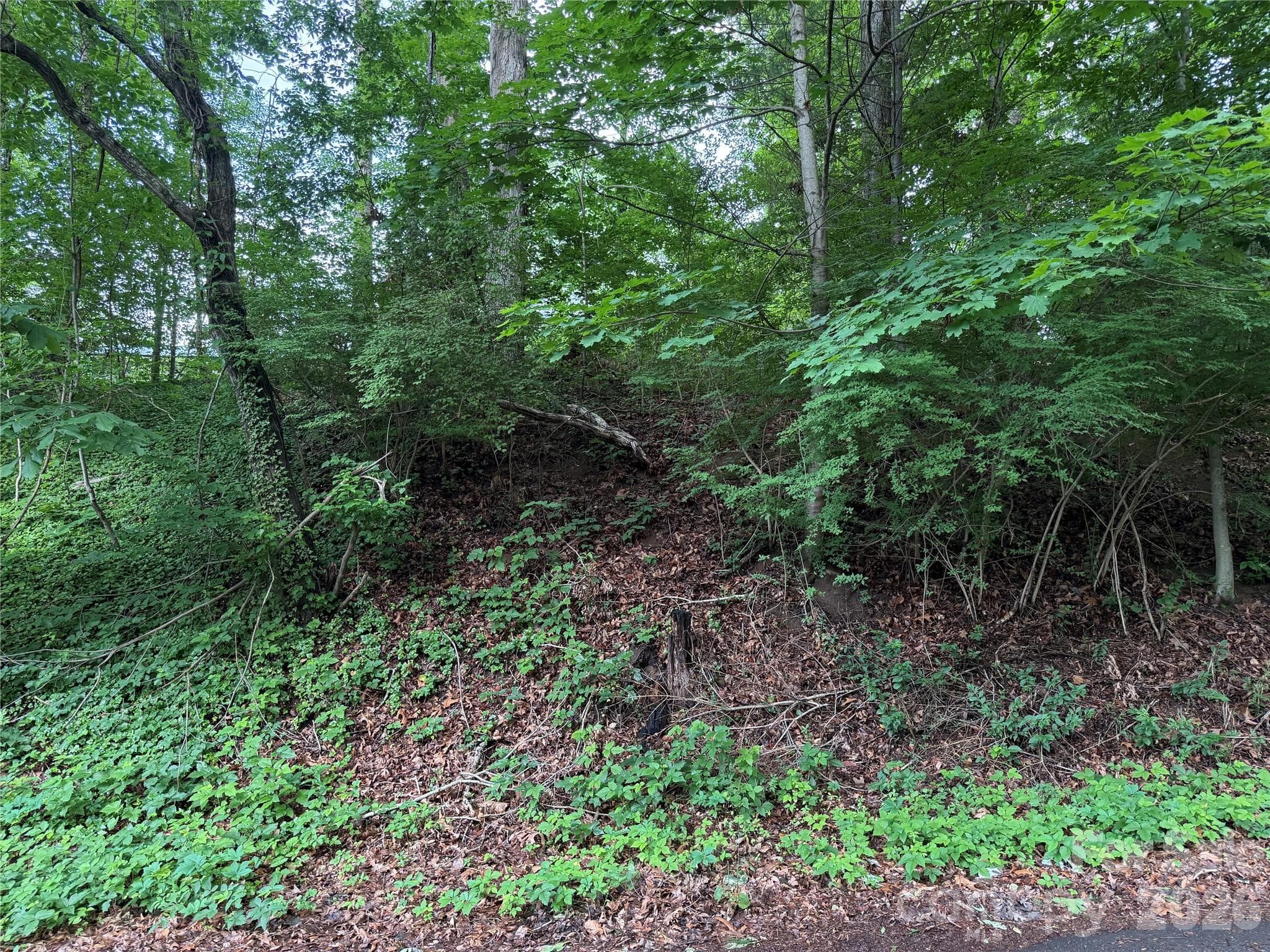 Lot at Asheville, photo 2 of 4