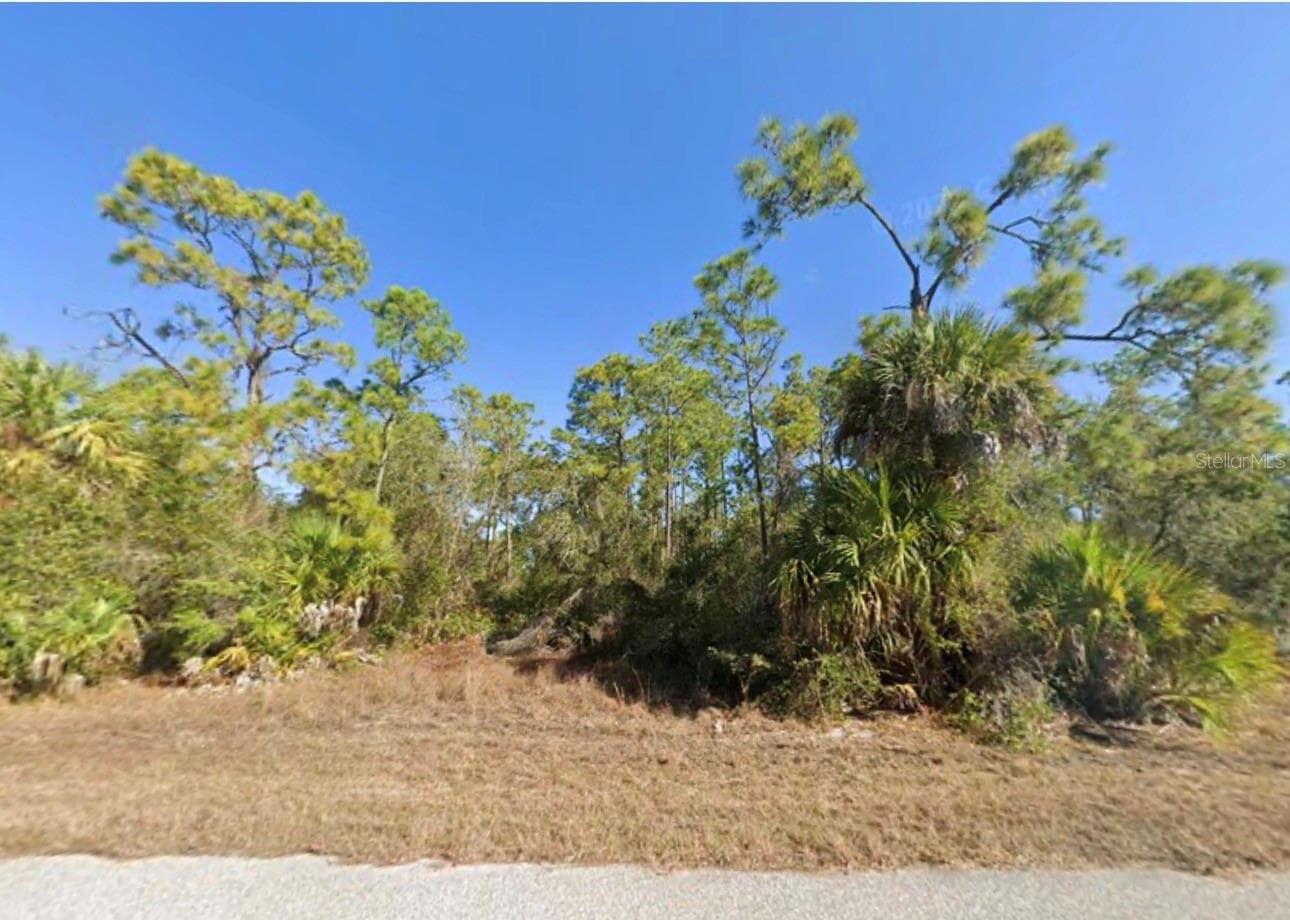 Land at 17083 CARSON AVE, PORT CHARLOTTE, photo 5 of 6