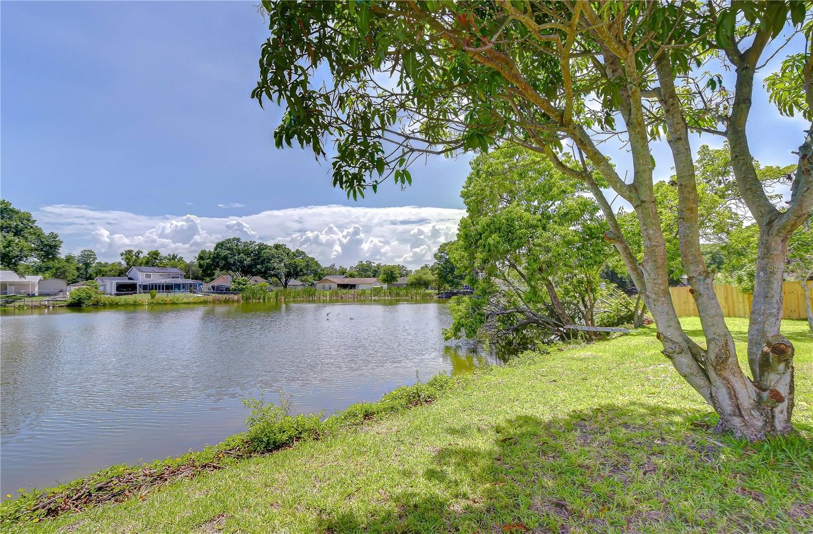 Single Family Residence at 7214 NIA LN, TAMPA, photo 18 of 19