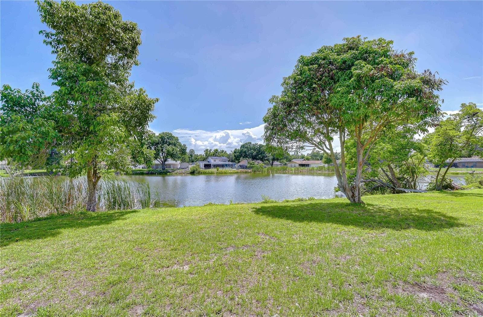 Single Family Residence at 7214 NIA LN, TAMPA, photo 19 of 19