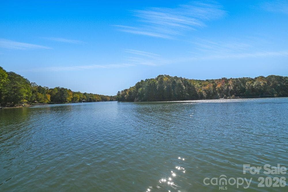 The Coves at Lake Wylie Community - 18246 Torchbearer Lane, Charlotte