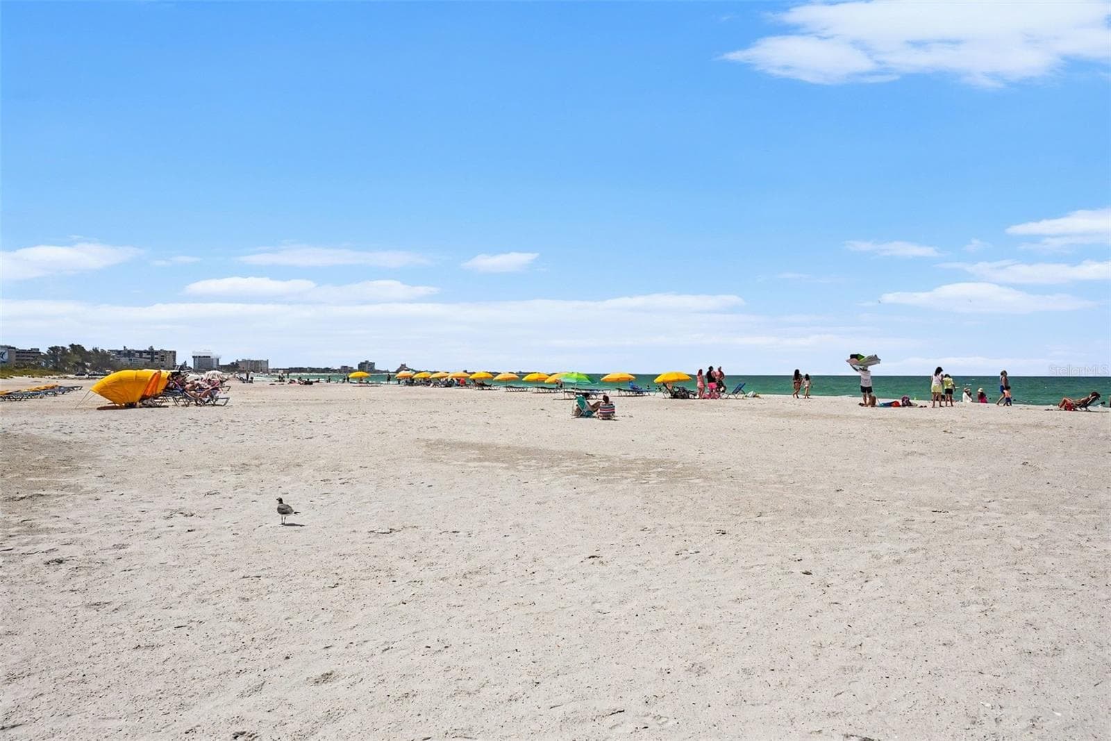 Condominium at 7050 SUNSET WAY #11, ST PETE BEACH, photo 17 of 18