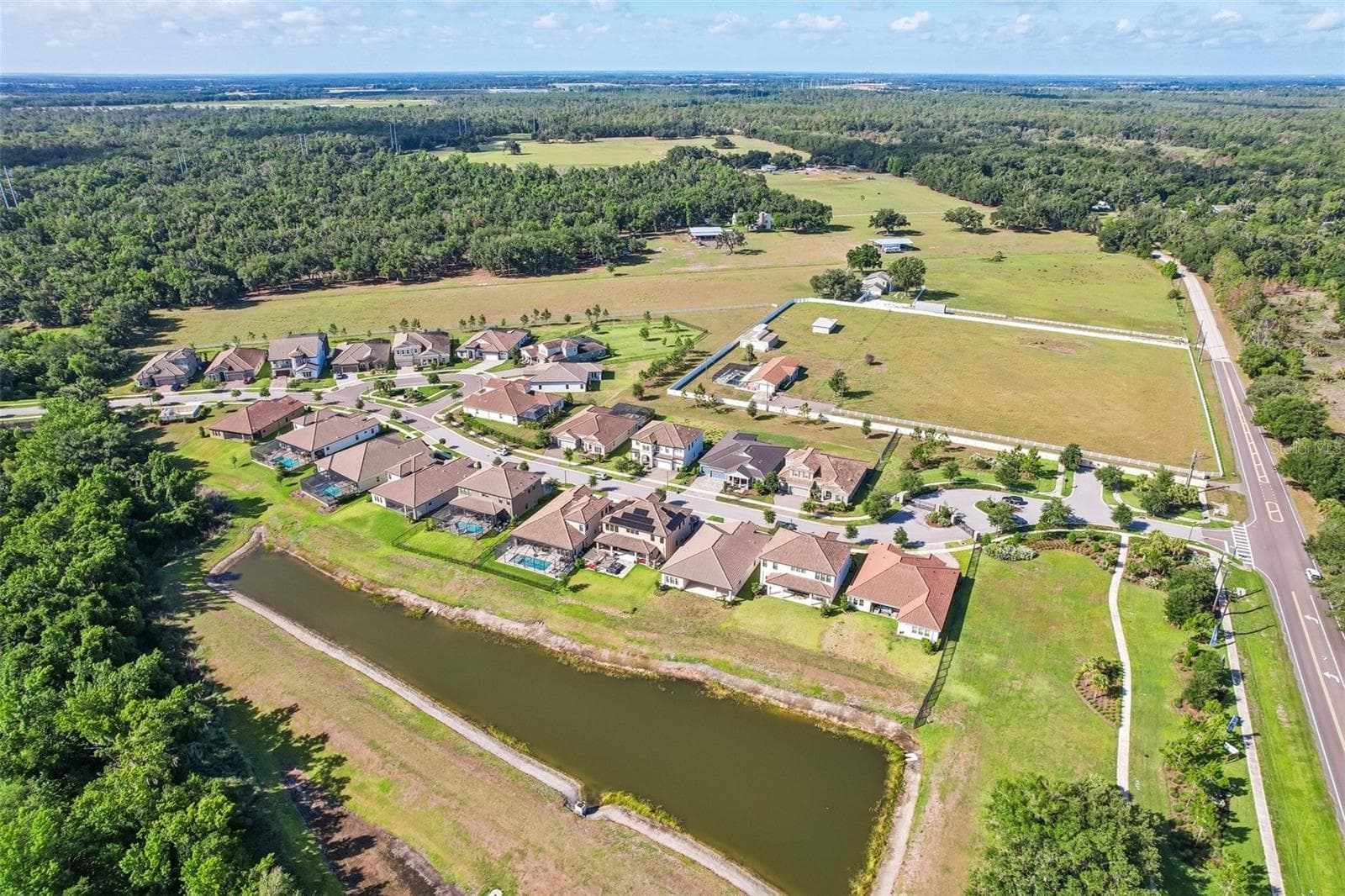 Single Family Residence at 14142 SWISS BRIDGE DR, RIVERVIEW, photo 60 of 65