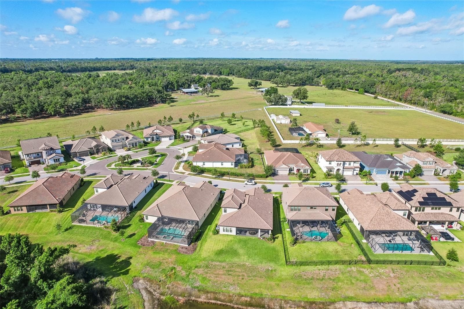Single Family Residence at 14142 SWISS BRIDGE DR, RIVERVIEW, photo 61 of 65