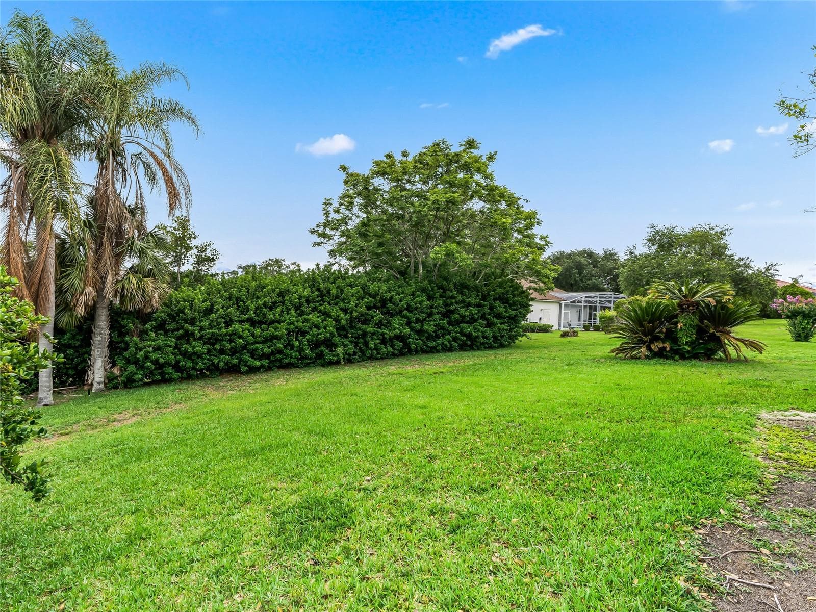 Backyard view - 5321 GREENS DR, LADY LAKE
