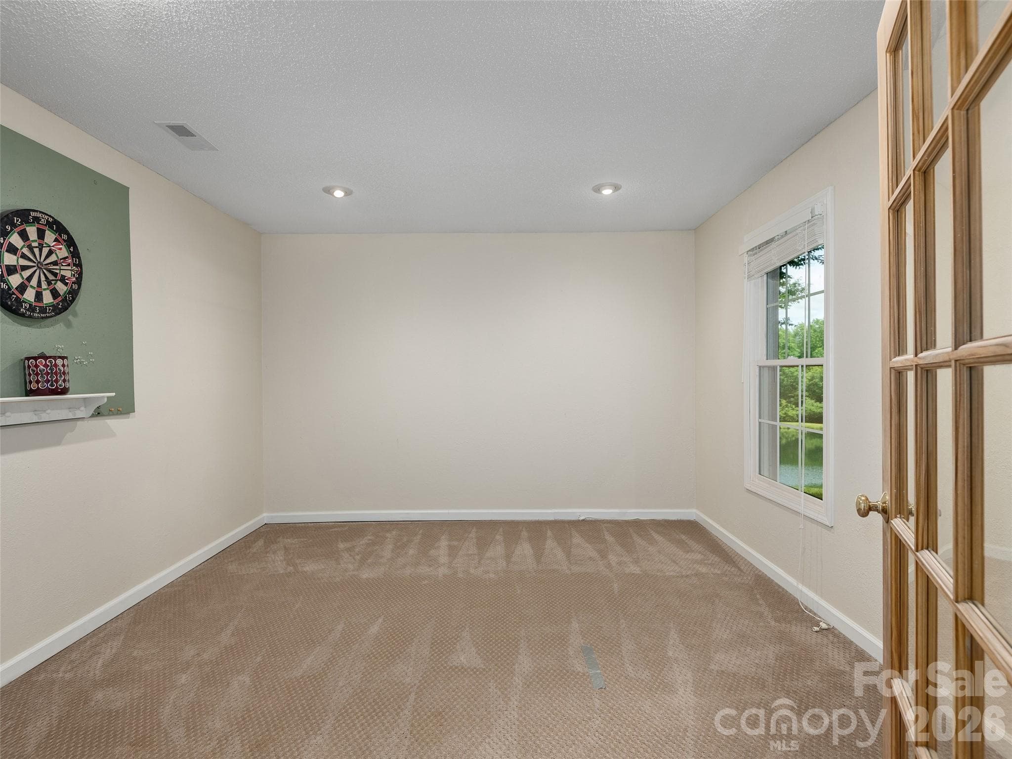 Playroom in basement - 48 Smokemont Drive, Arden