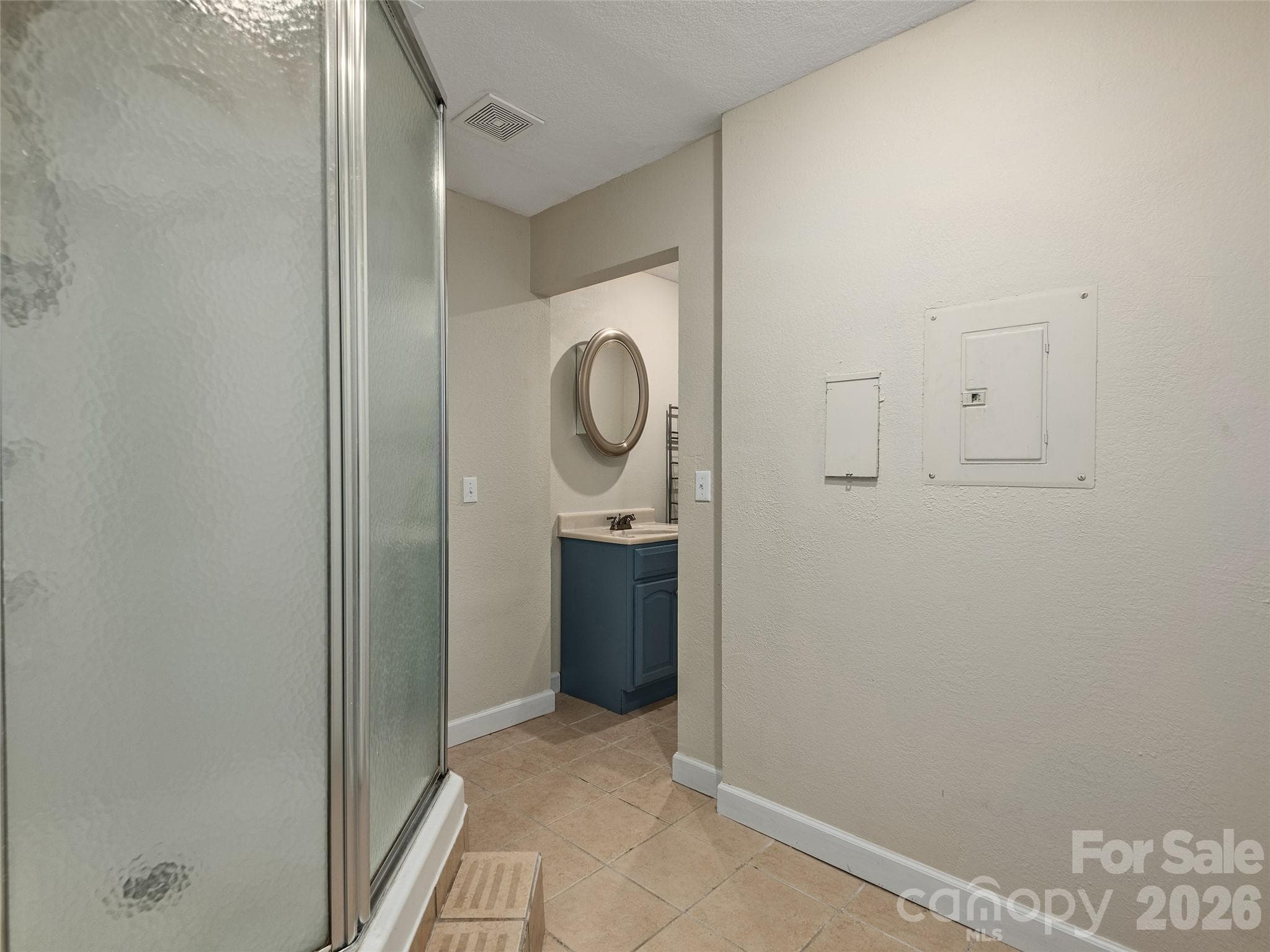 Bathroom in basement - 48 Smokemont Drive, Arden