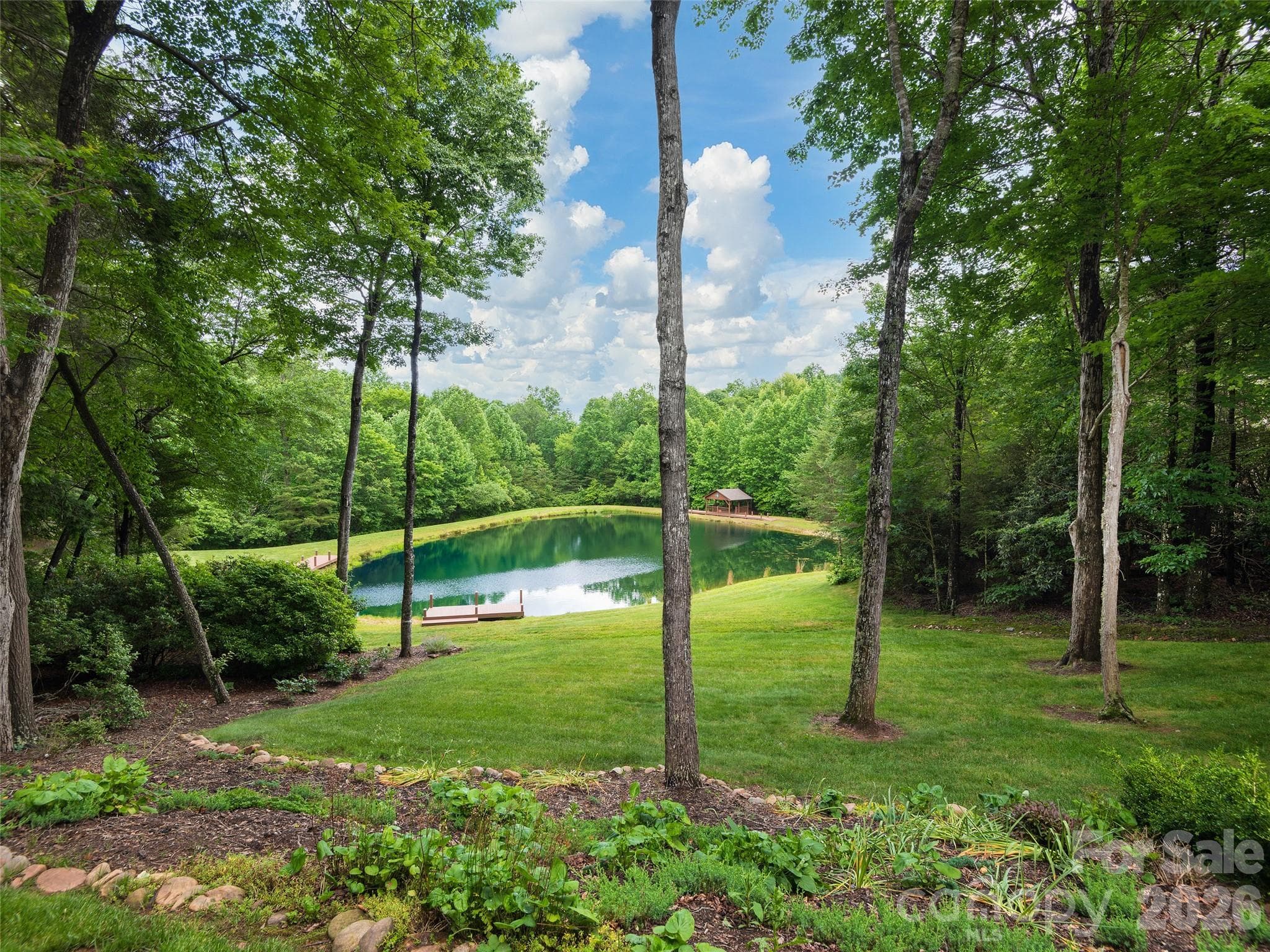 View of community pond from back yard - 48 Smokemont Drive, Arden