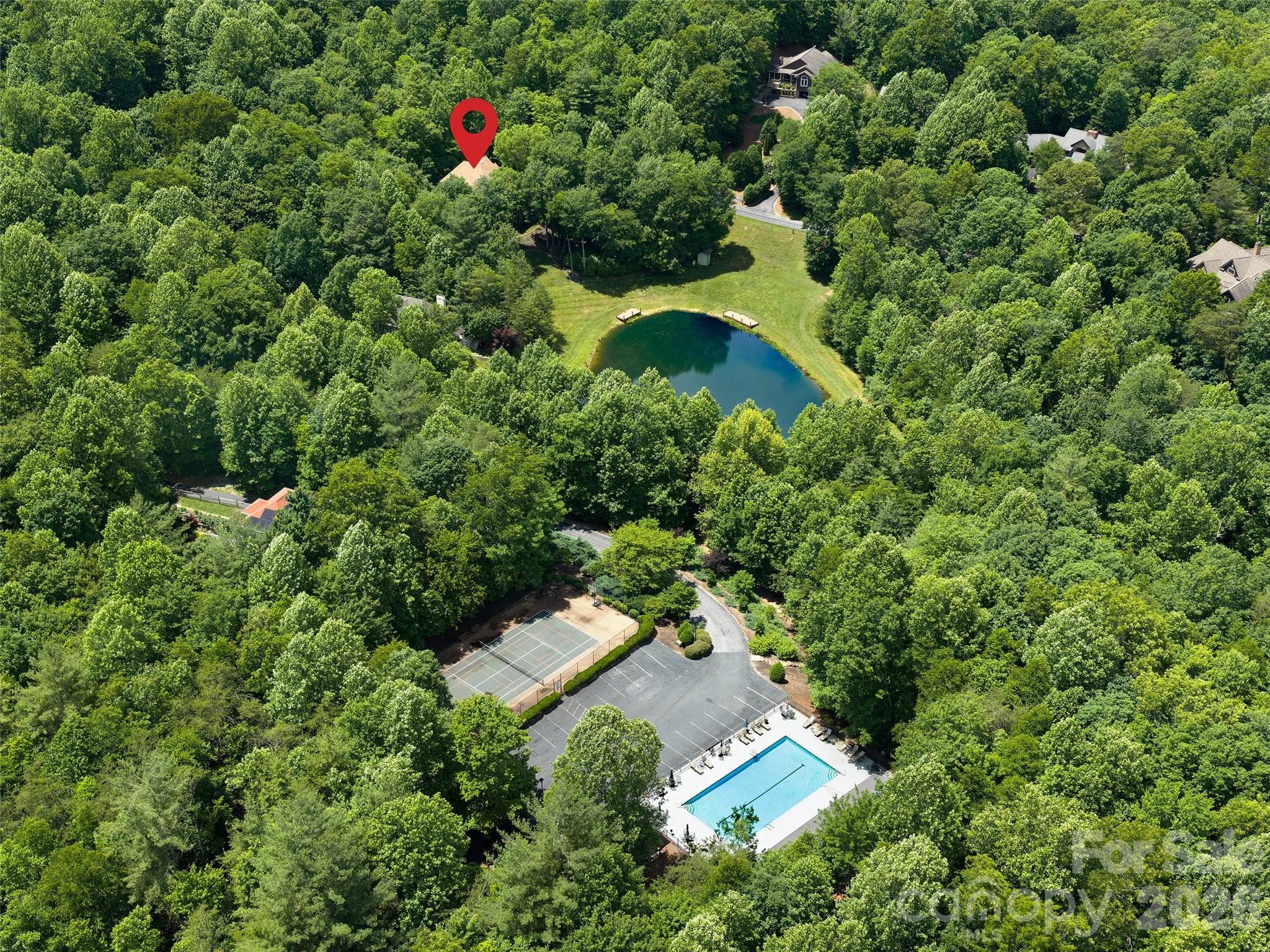 Aerial view of pool, sports courts, & community pond - 48 Smokemont Drive, Arden