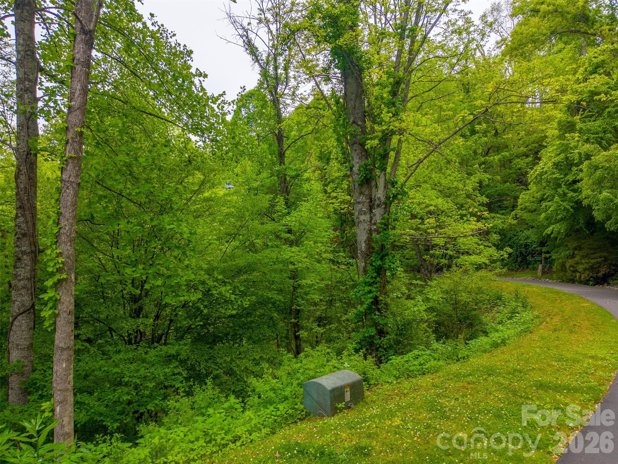 Lot at Waynesville, photo 10 of 17