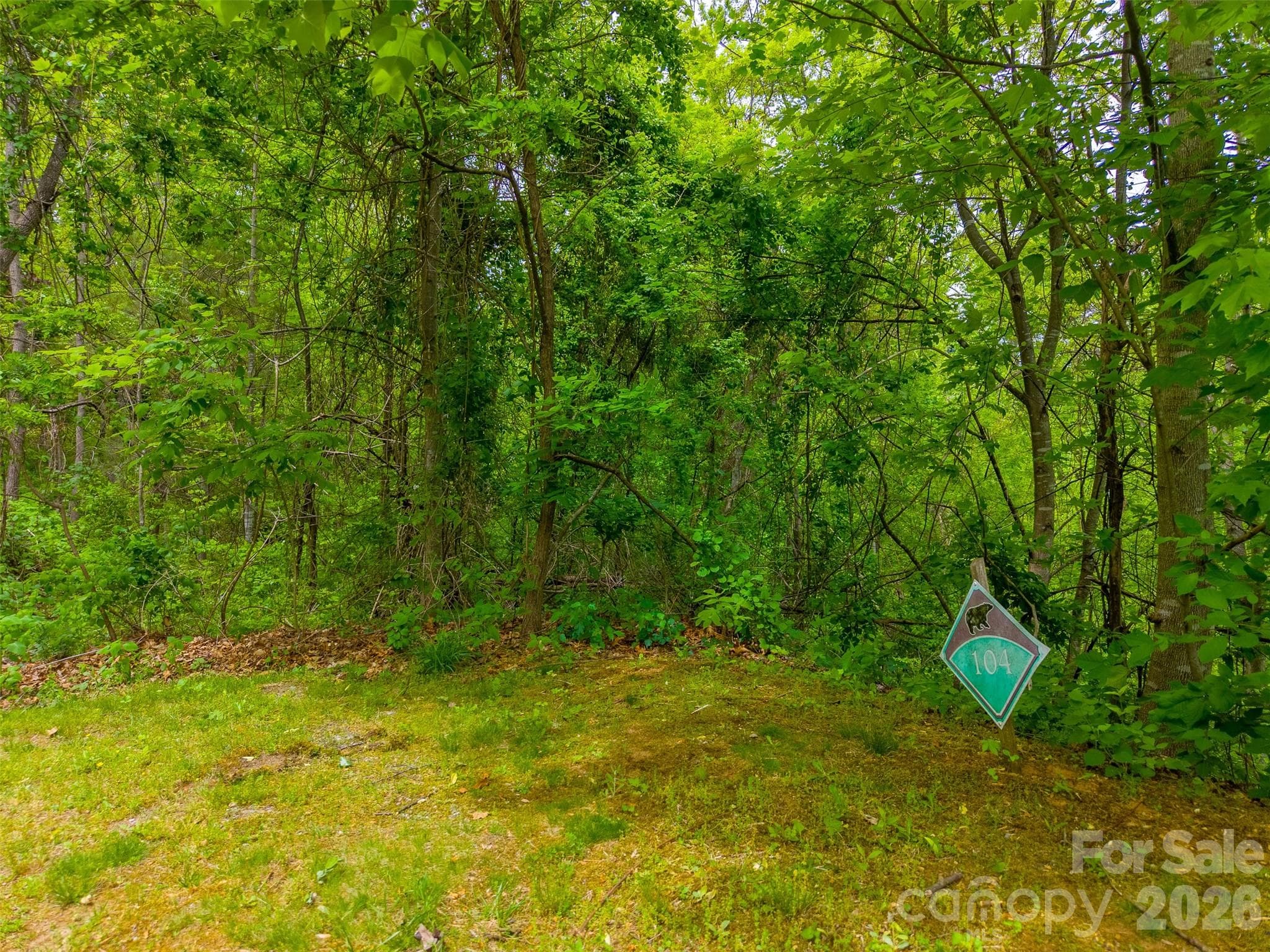 Lot at Waynesville, photo 17 of 17