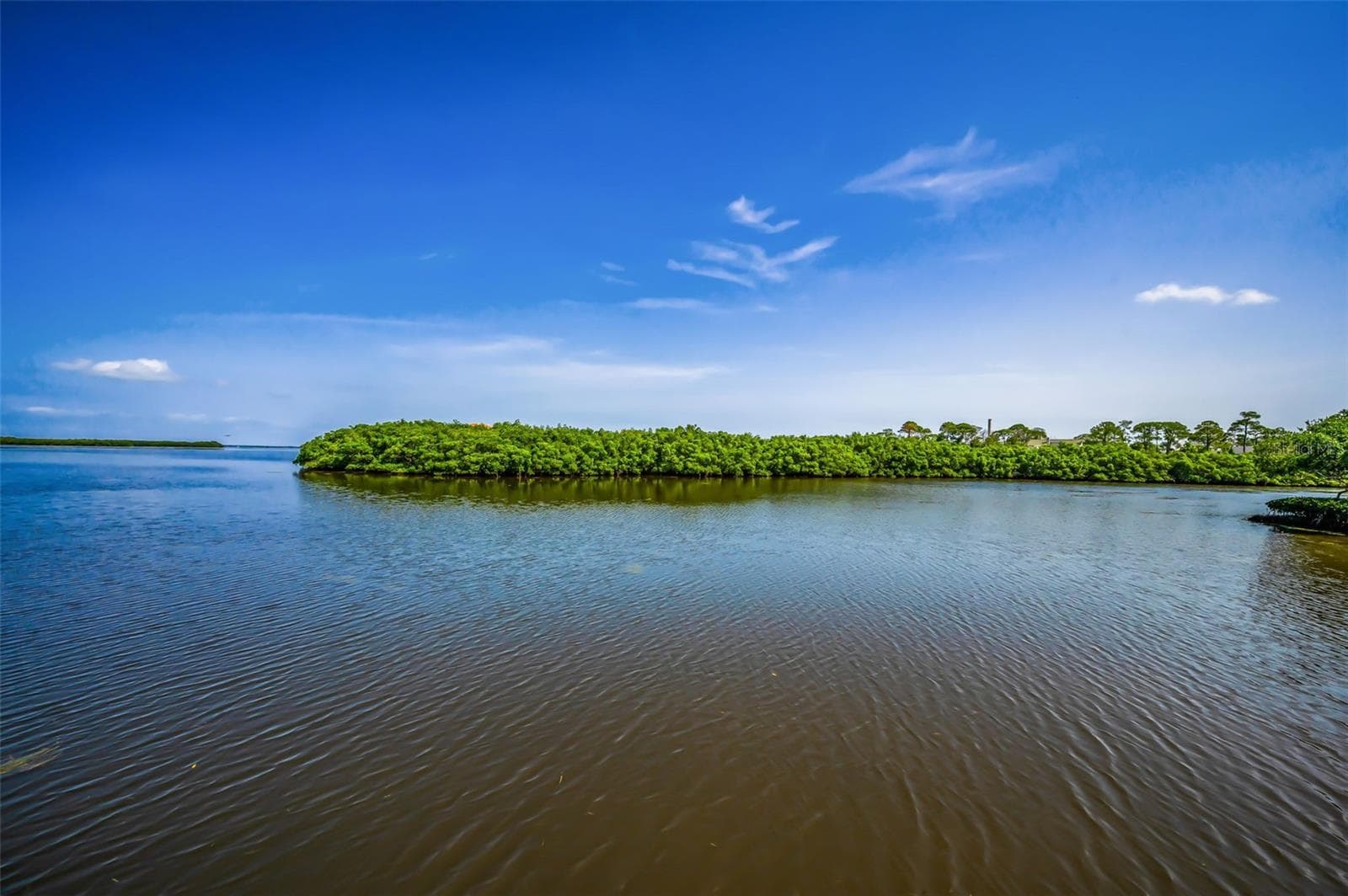 Single Family Residence at 1620 SEA BREEZE DR, TARPON SPRINGS, photo 83 of 100