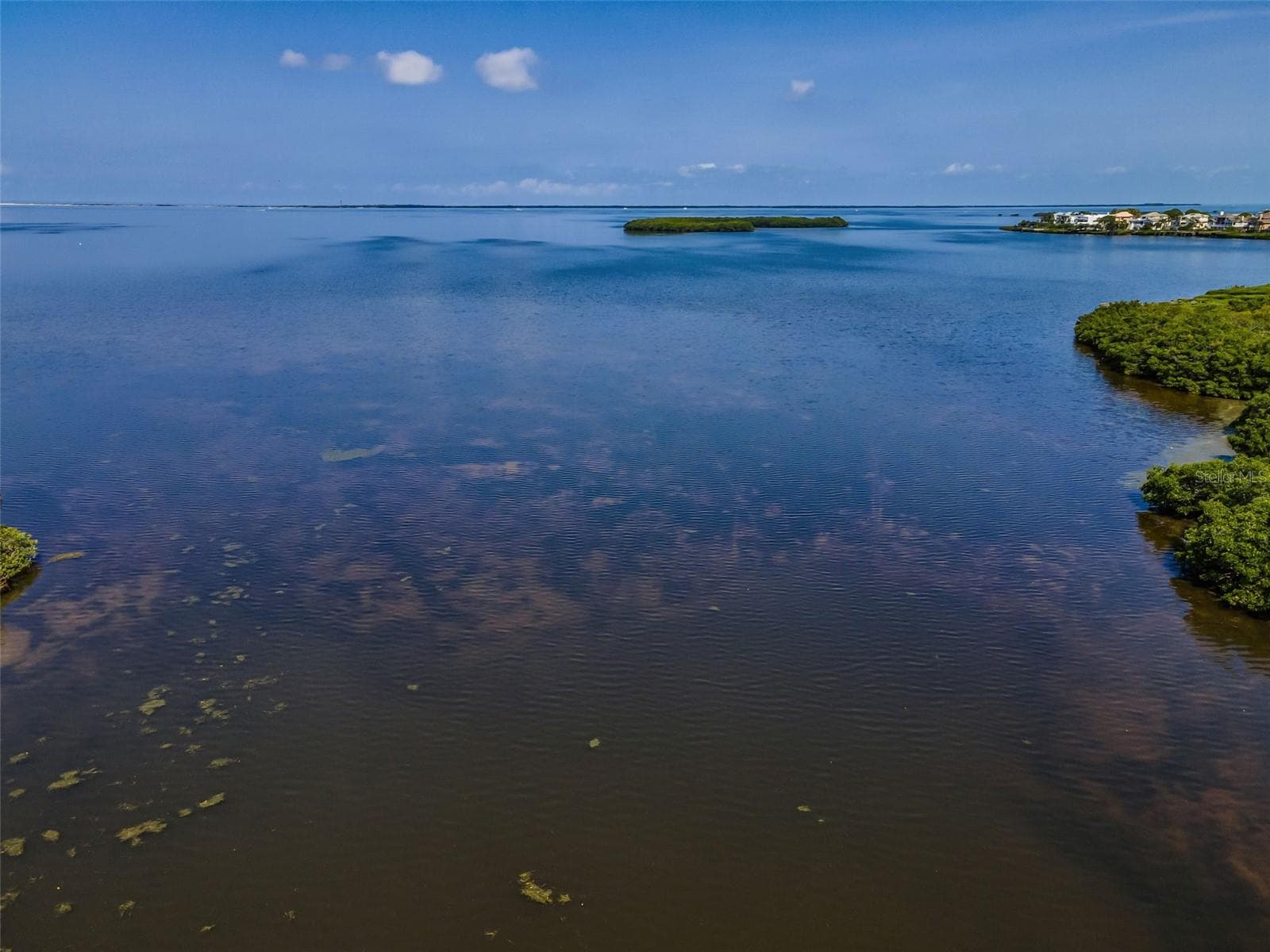 Not to mention the Great Red Fish hole off the dock! - 1620 SEA BREEZE DR, TARPON SPRINGS