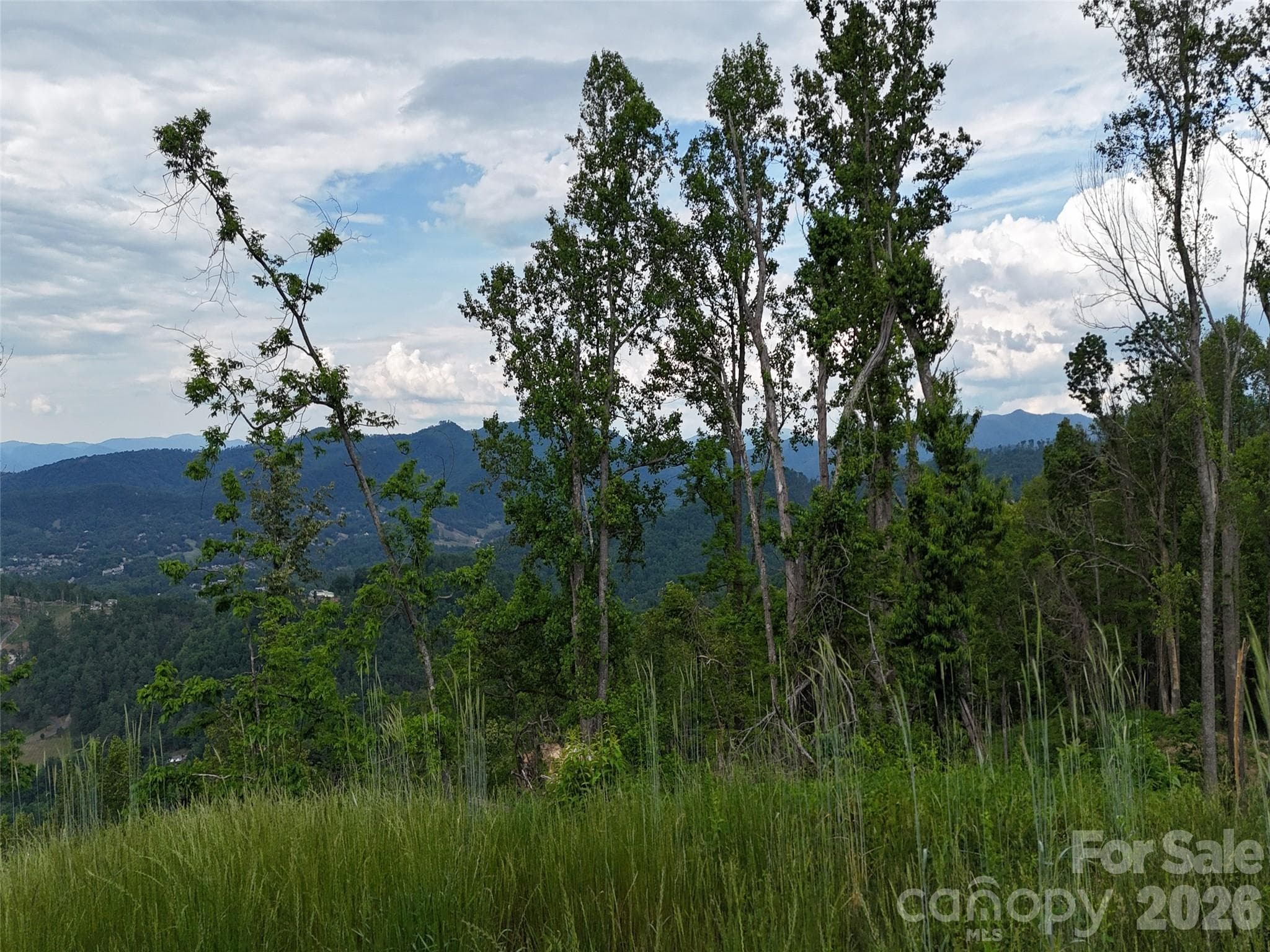 Acreage at Asheville, photo 11 of 21