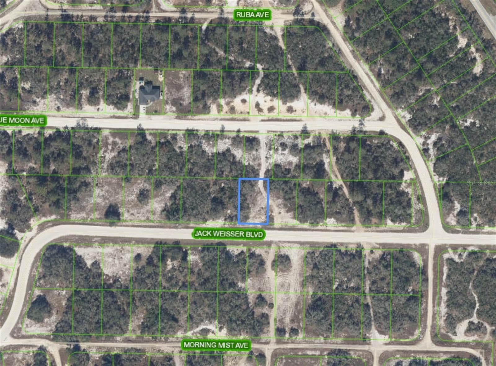 Land at 462 JACK WEISSER BLVD, LAKE PLACID, photo 2 of 2