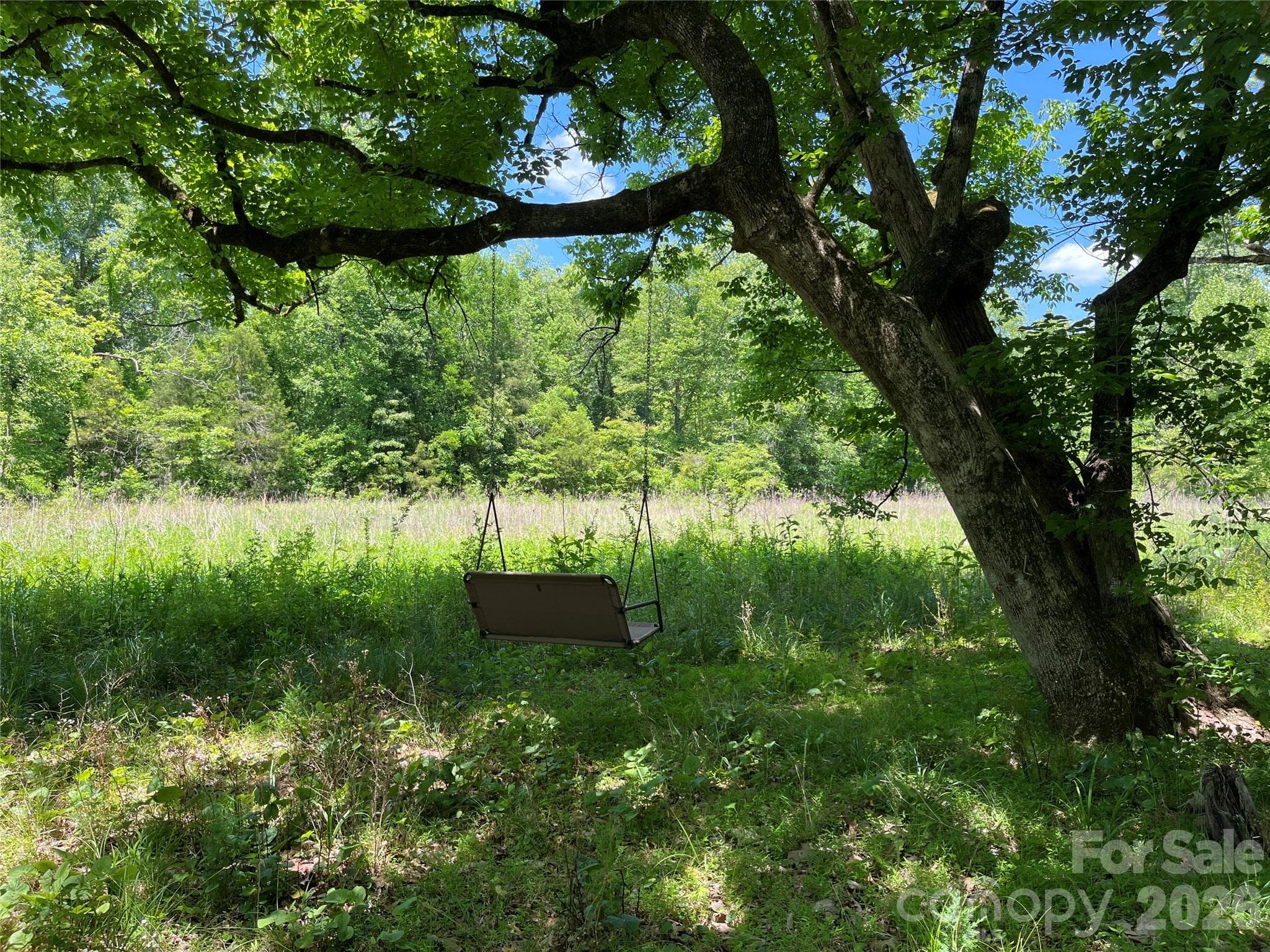 Swing by cabin overlooking the pasture - Rutherfordton