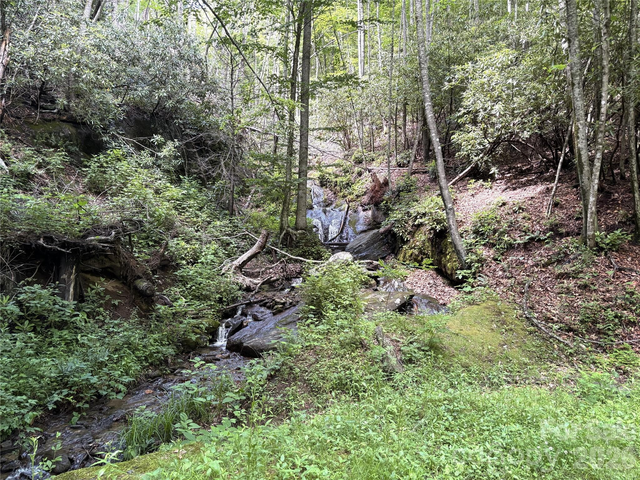 Enjoy the nice little water fall. - Maggie Valley