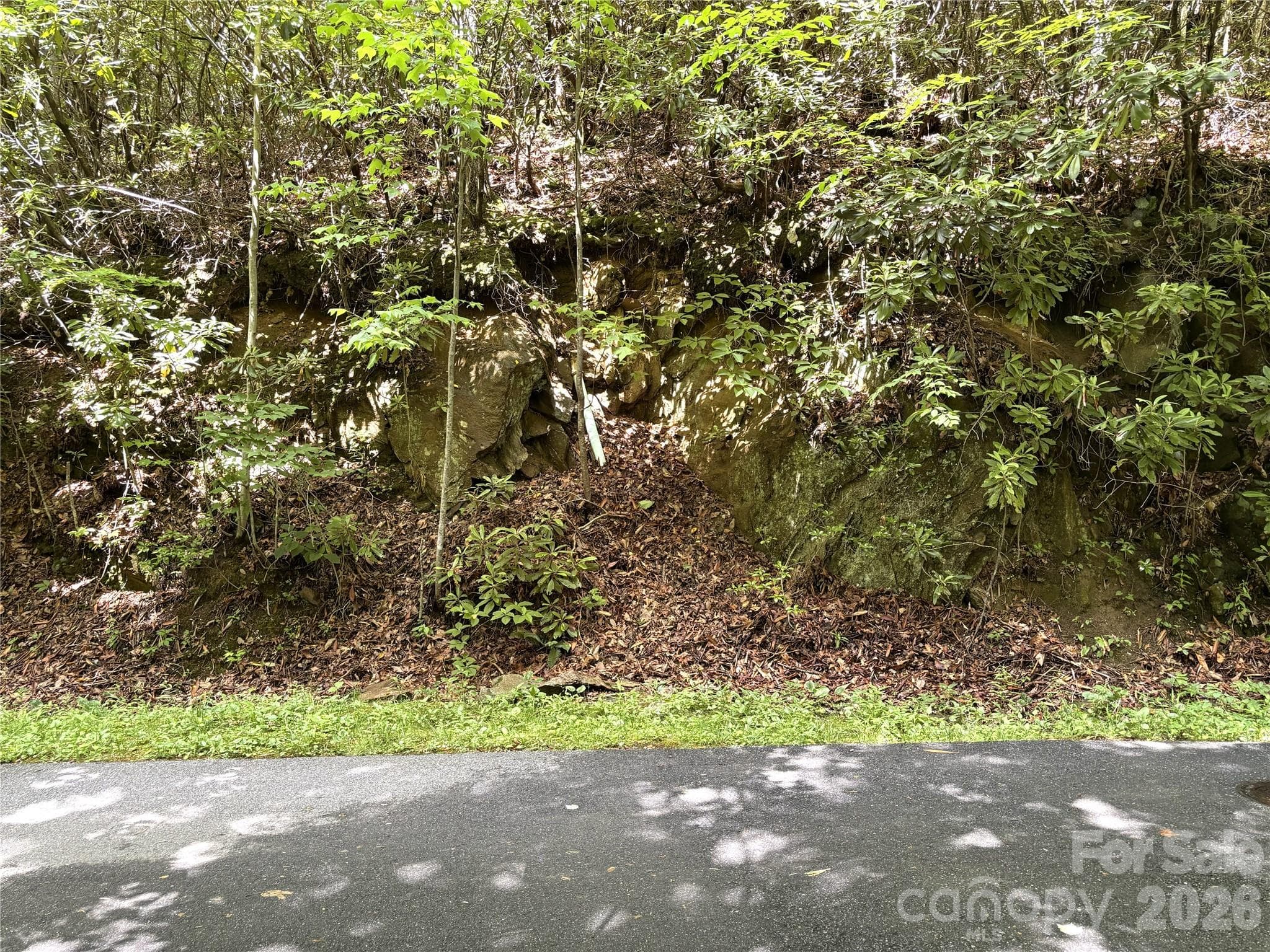 Paved road - Maggie Valley