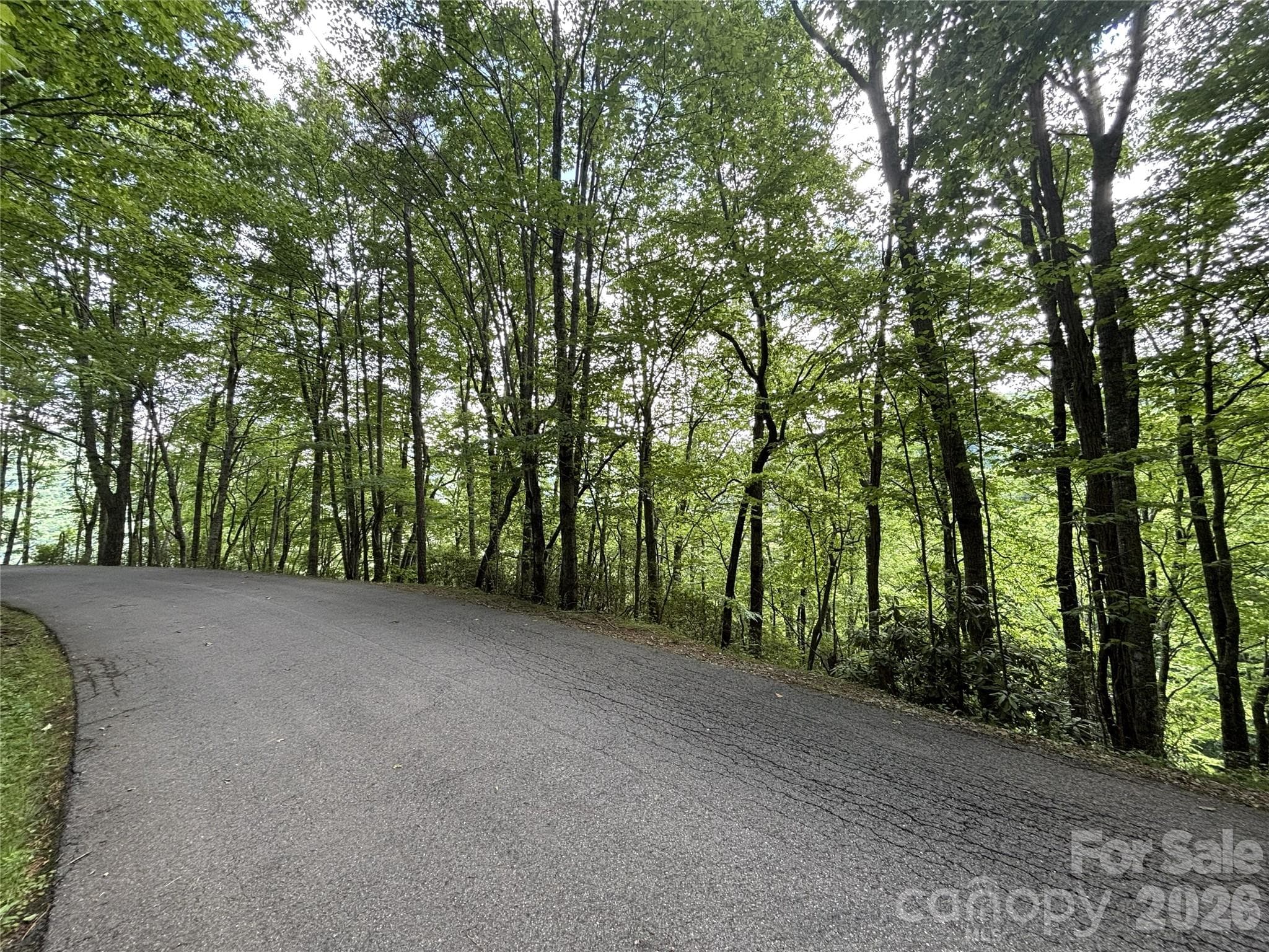 Great Potential view. Just take a look Covenants and Restrictions. - Maggie Valley