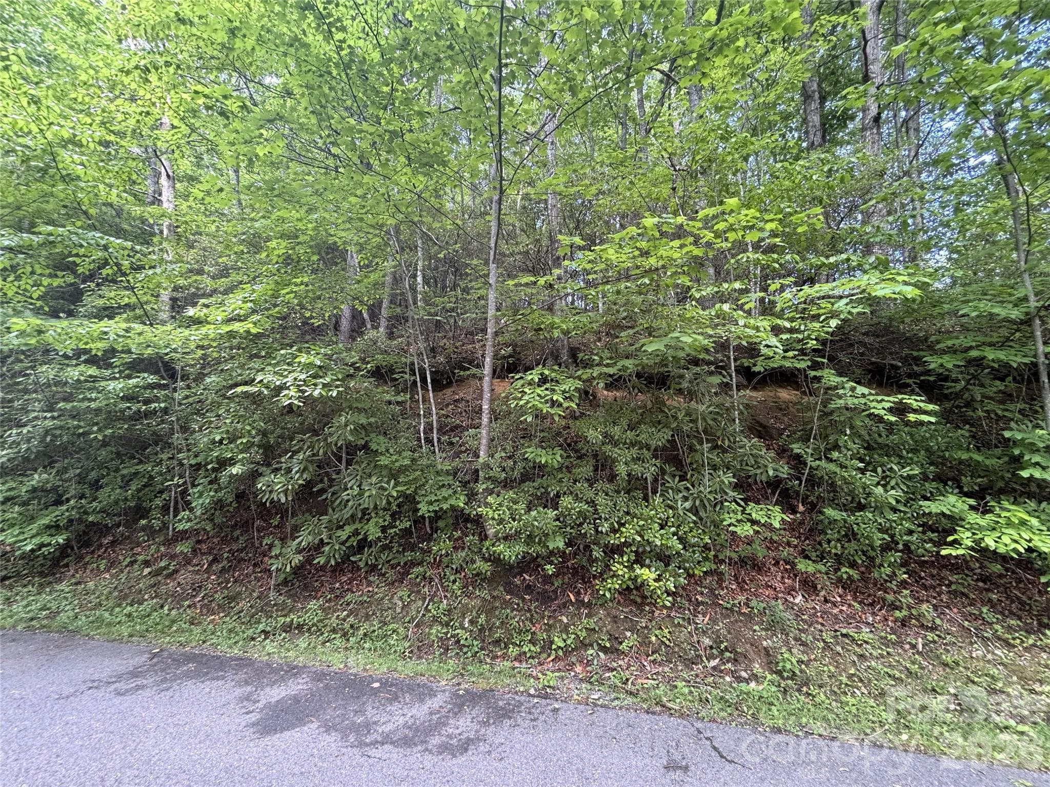 Lot at Maggie Valley, photo 13 of 19