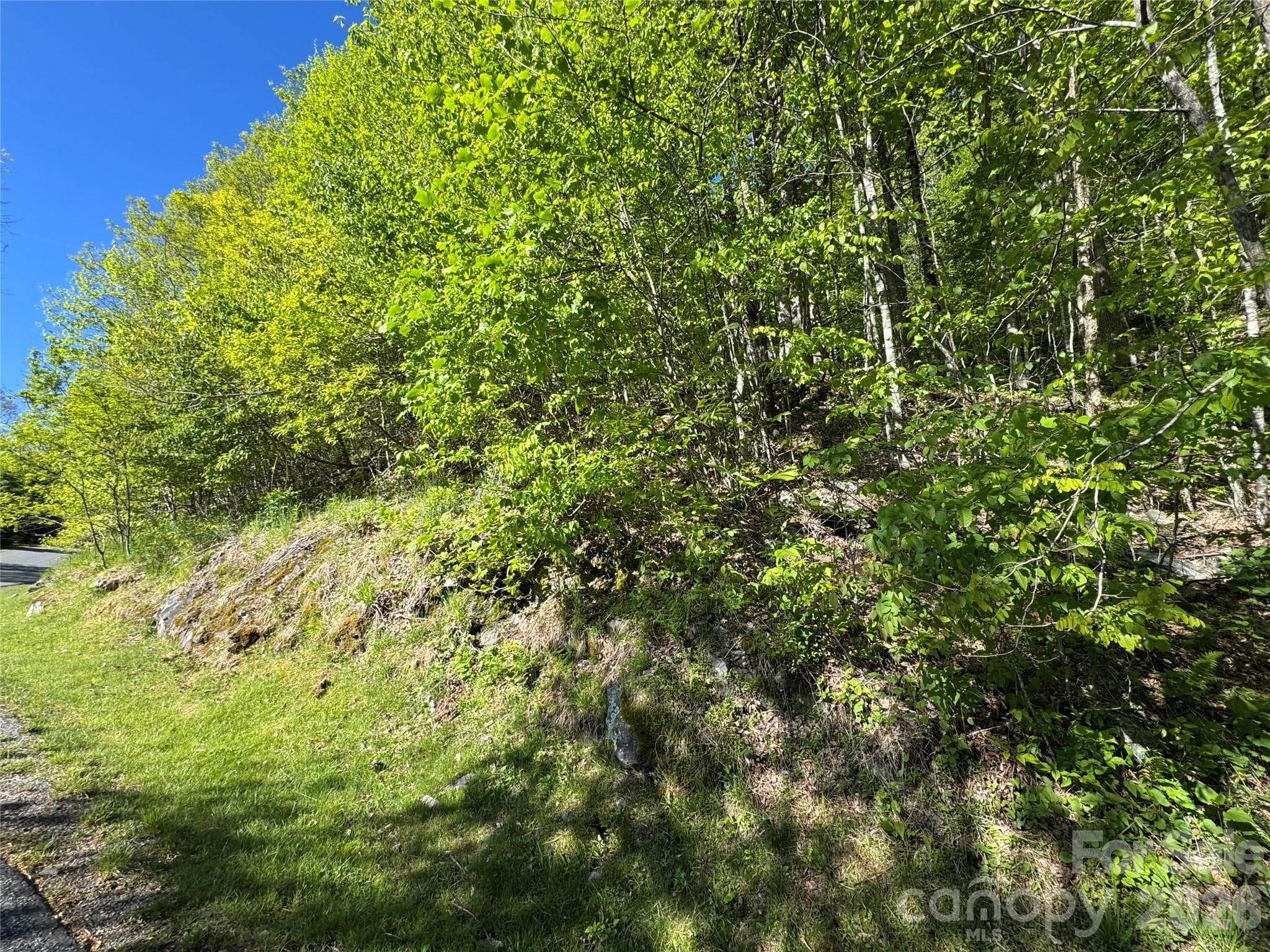 Double Lot - Mars Hill